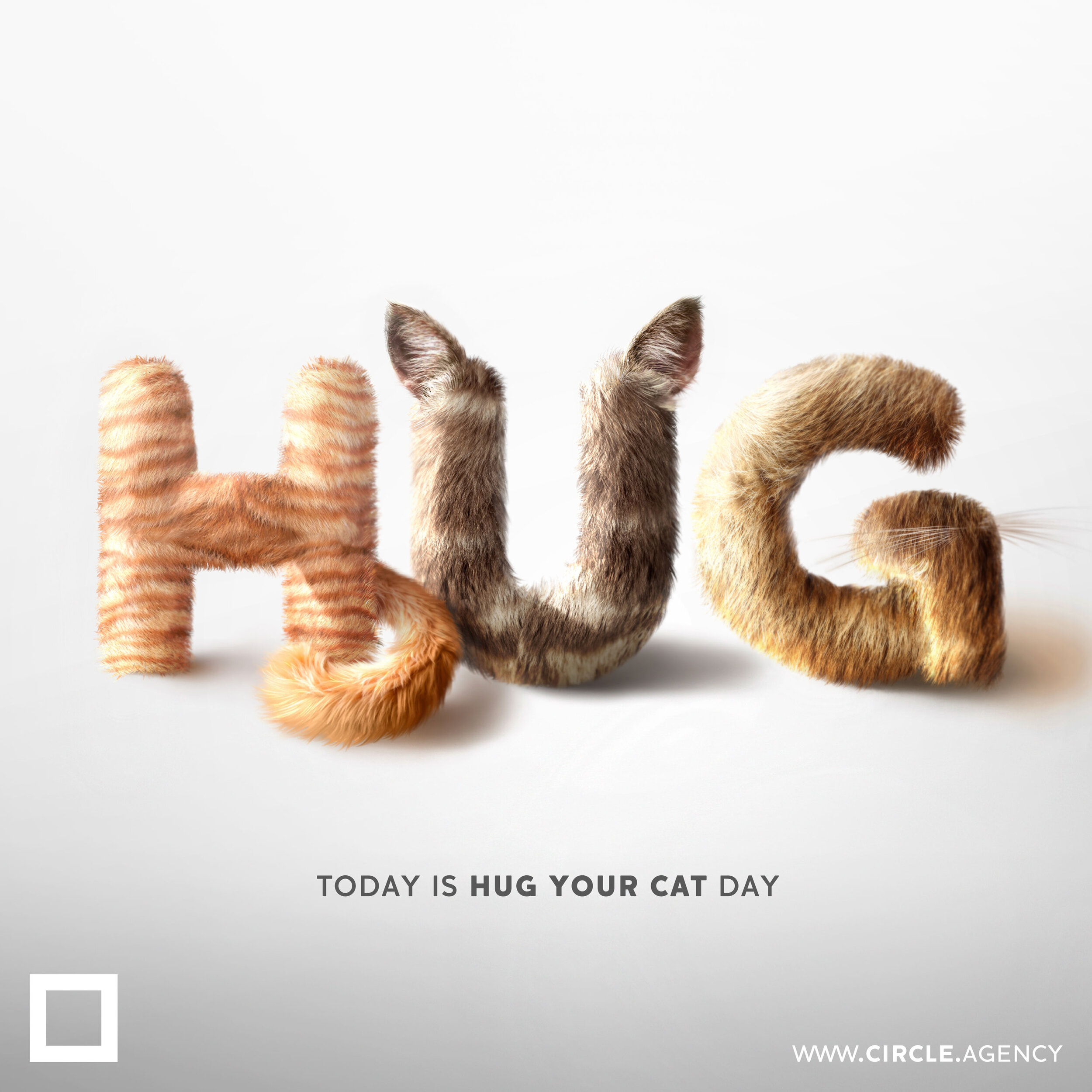 meow_hug_your_cat_day_fur_cute_adorable_creative_post_circle_visual_communication_branding_design_agency_digital_online_marketing.jpg