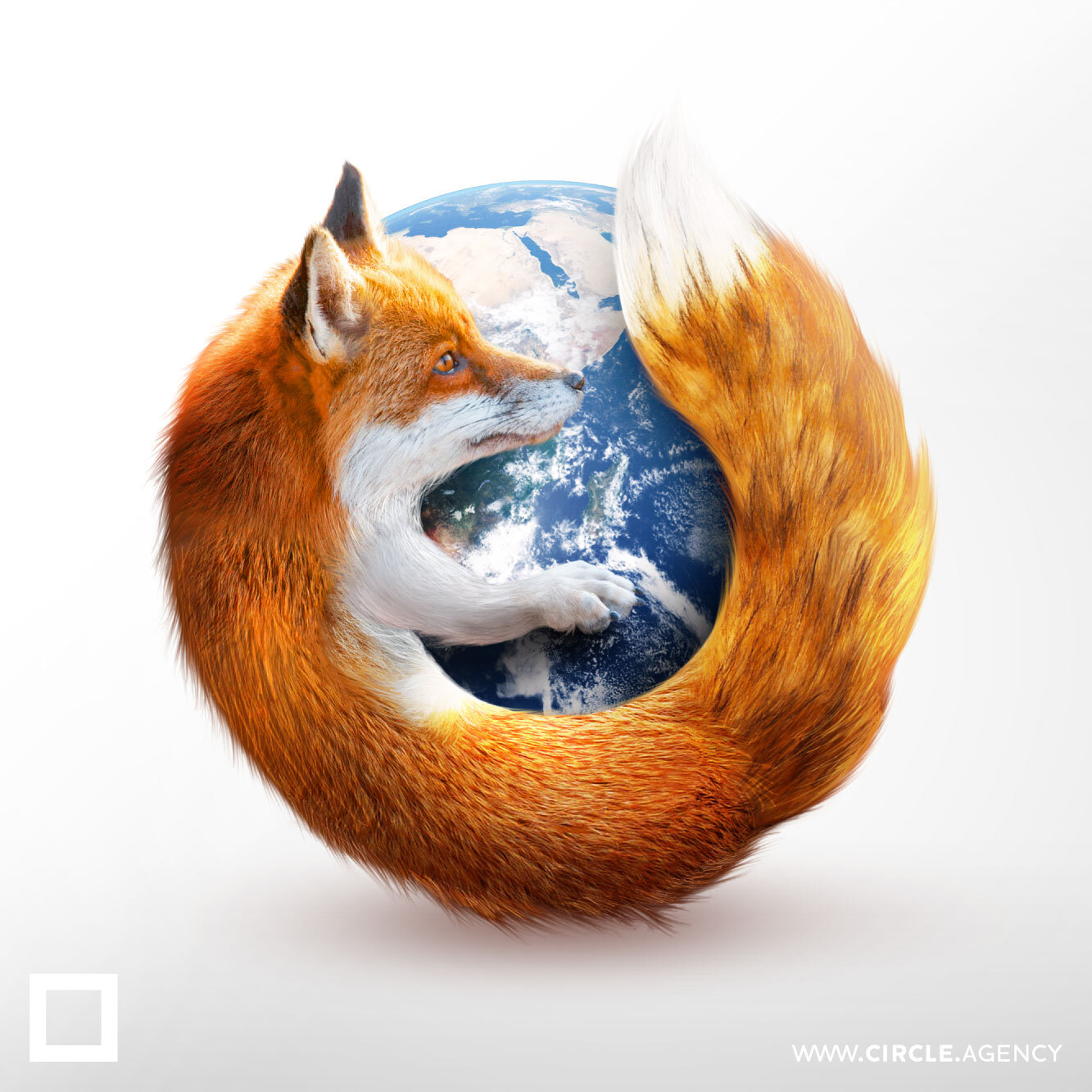 Firefox_fire_fox_logo_realisation_web_browser_mozilla_page_creative_circle_visual_communication_insta.jpg