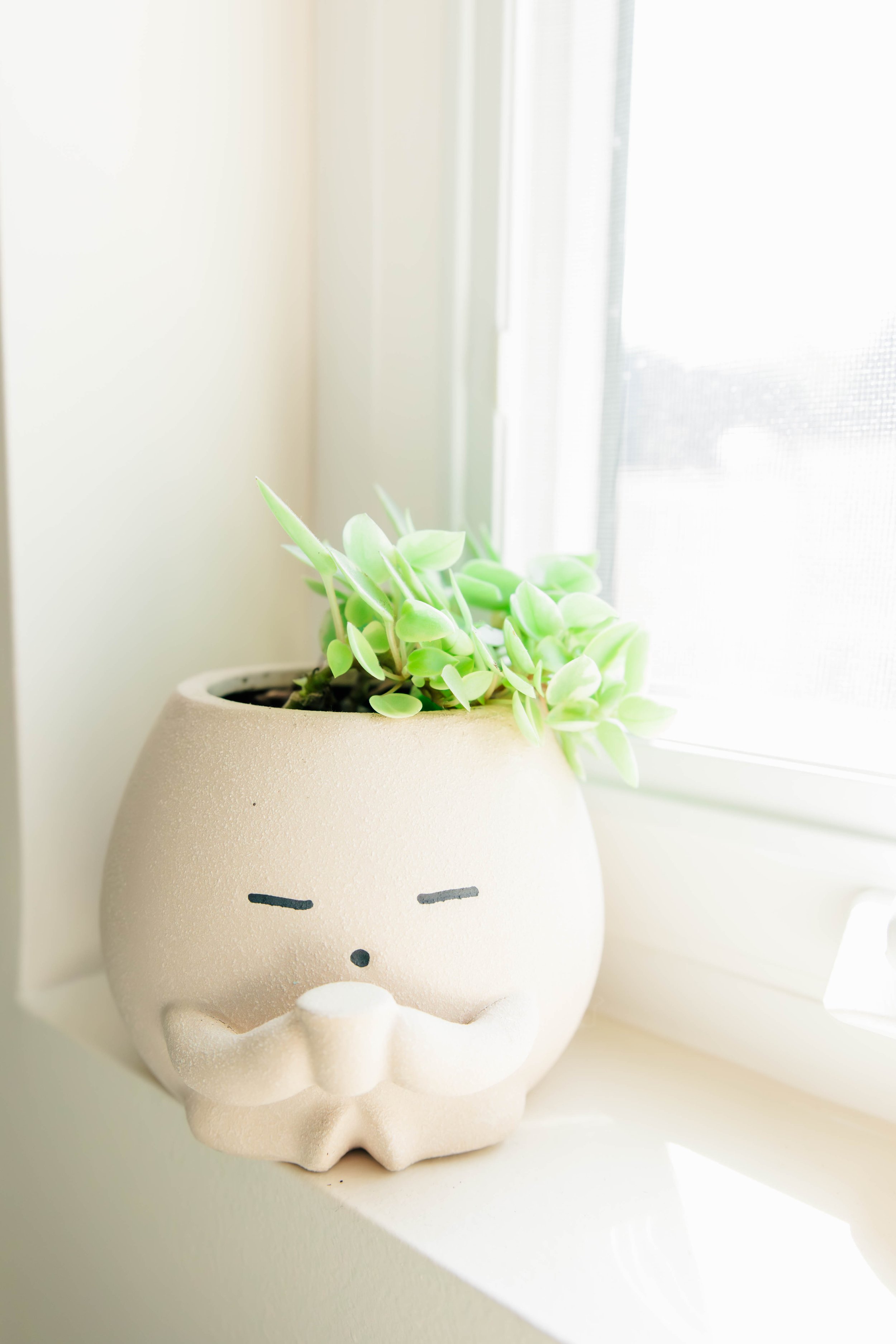 TerracottaRoom-22.jpg