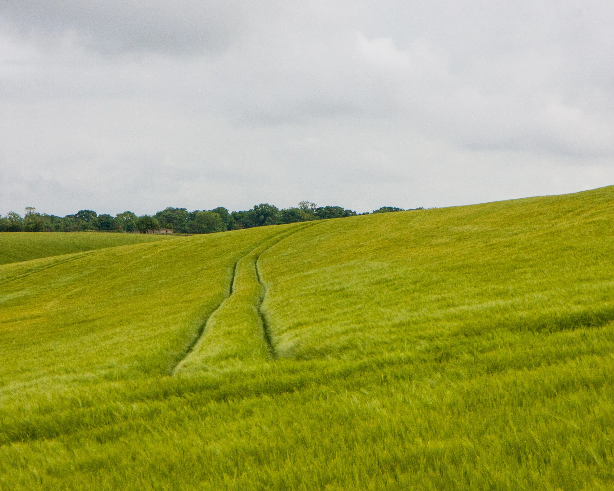 Cotswold_Wheat_Tram.jpg