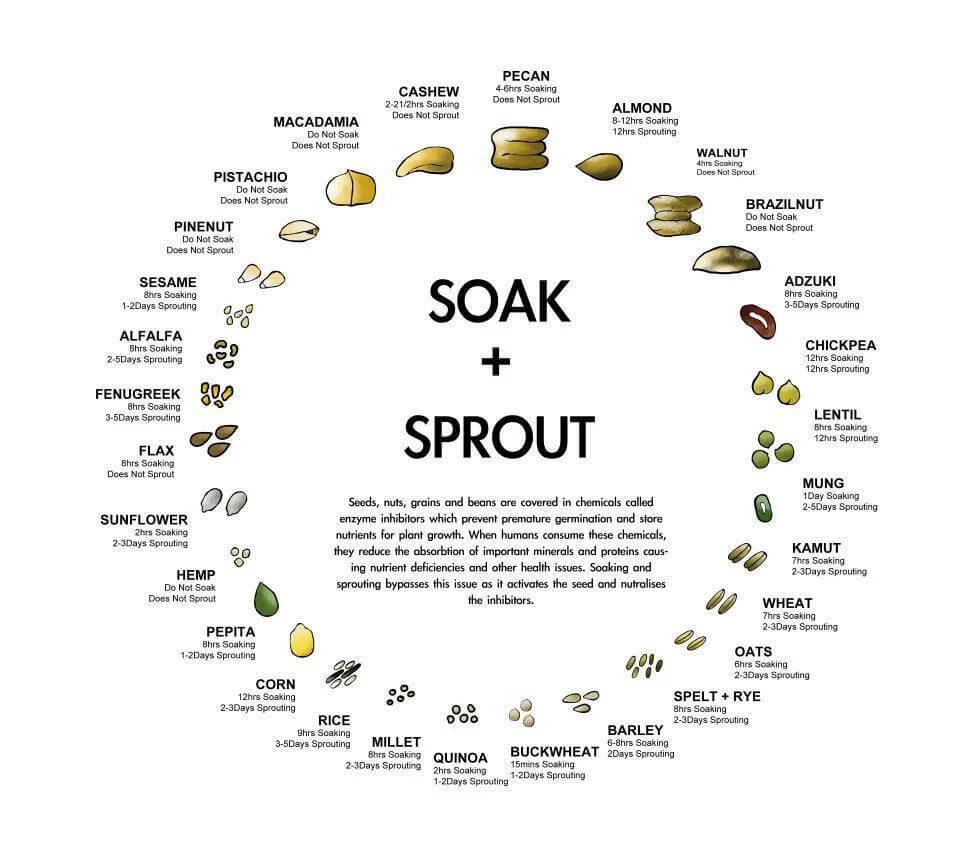 soak_nuts.jpg