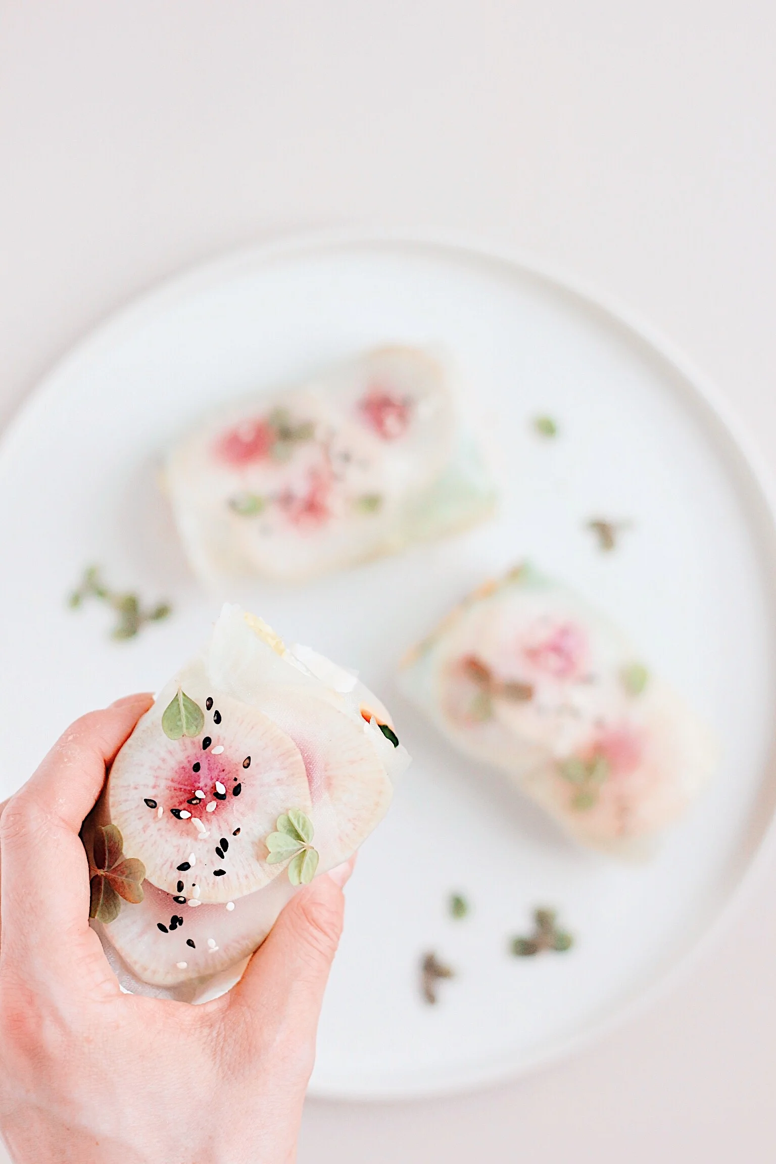 Plantebaserte Sommerruller