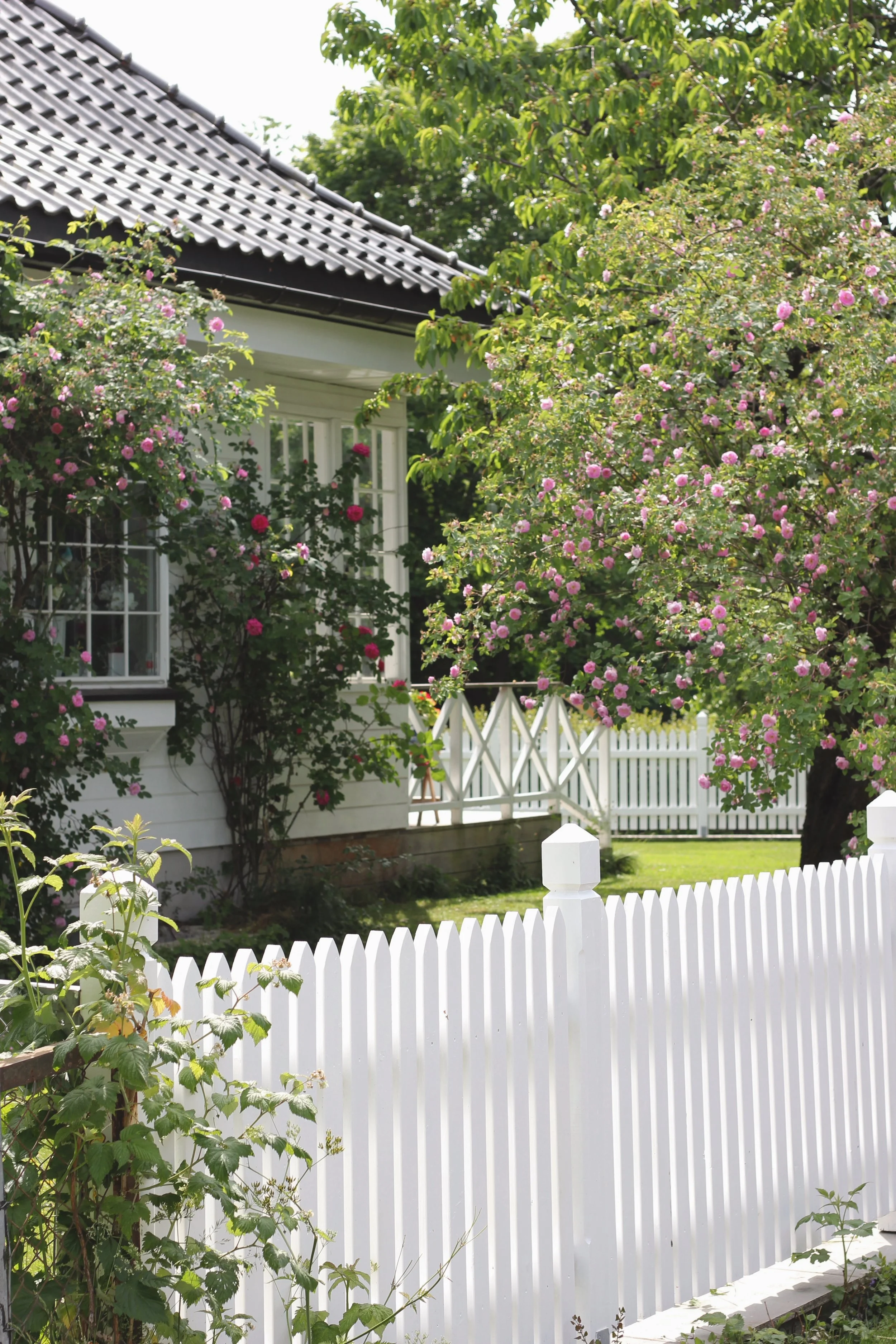 Lite søndags eventyr i nabolaget 