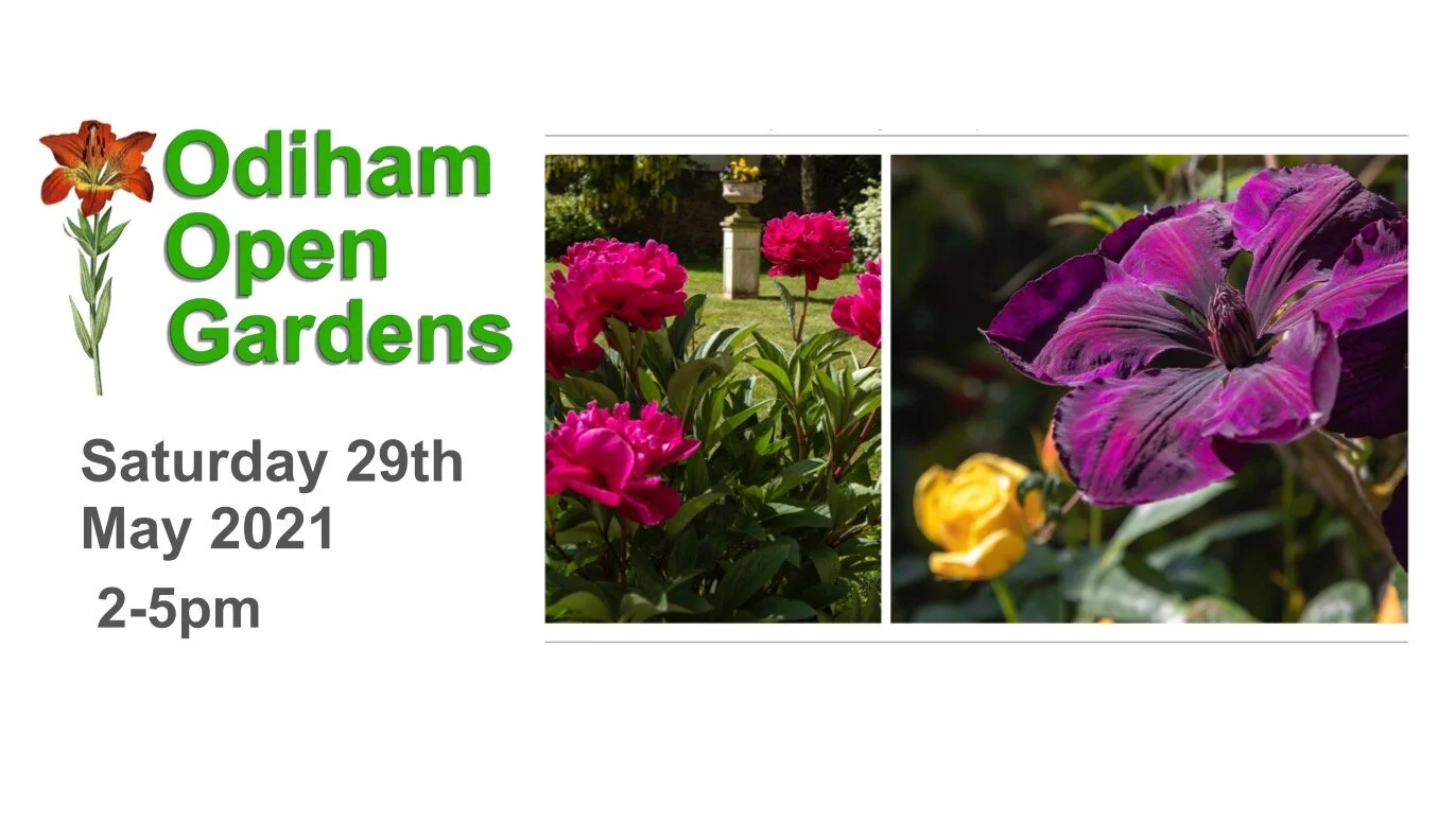 Odiham Open Gardens