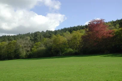 surrey2.jpg