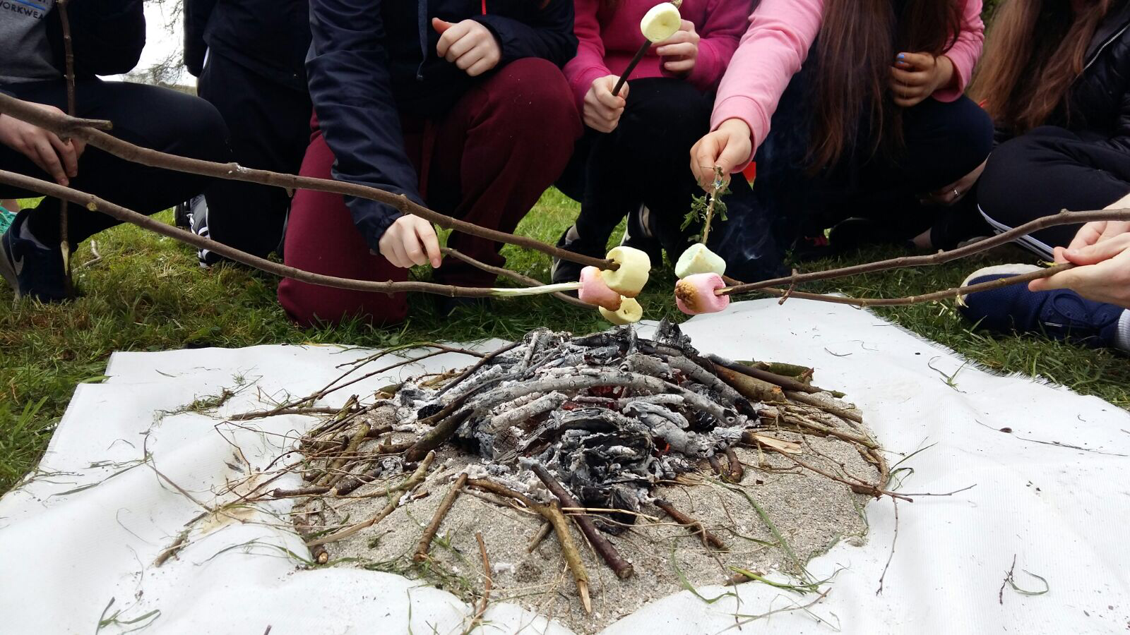 Outdoor Programmes Trigger Eco Actions