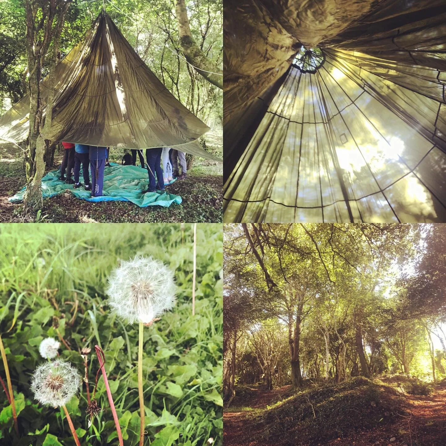 Wilderness therapy as mental health treatment: a case study from the UK