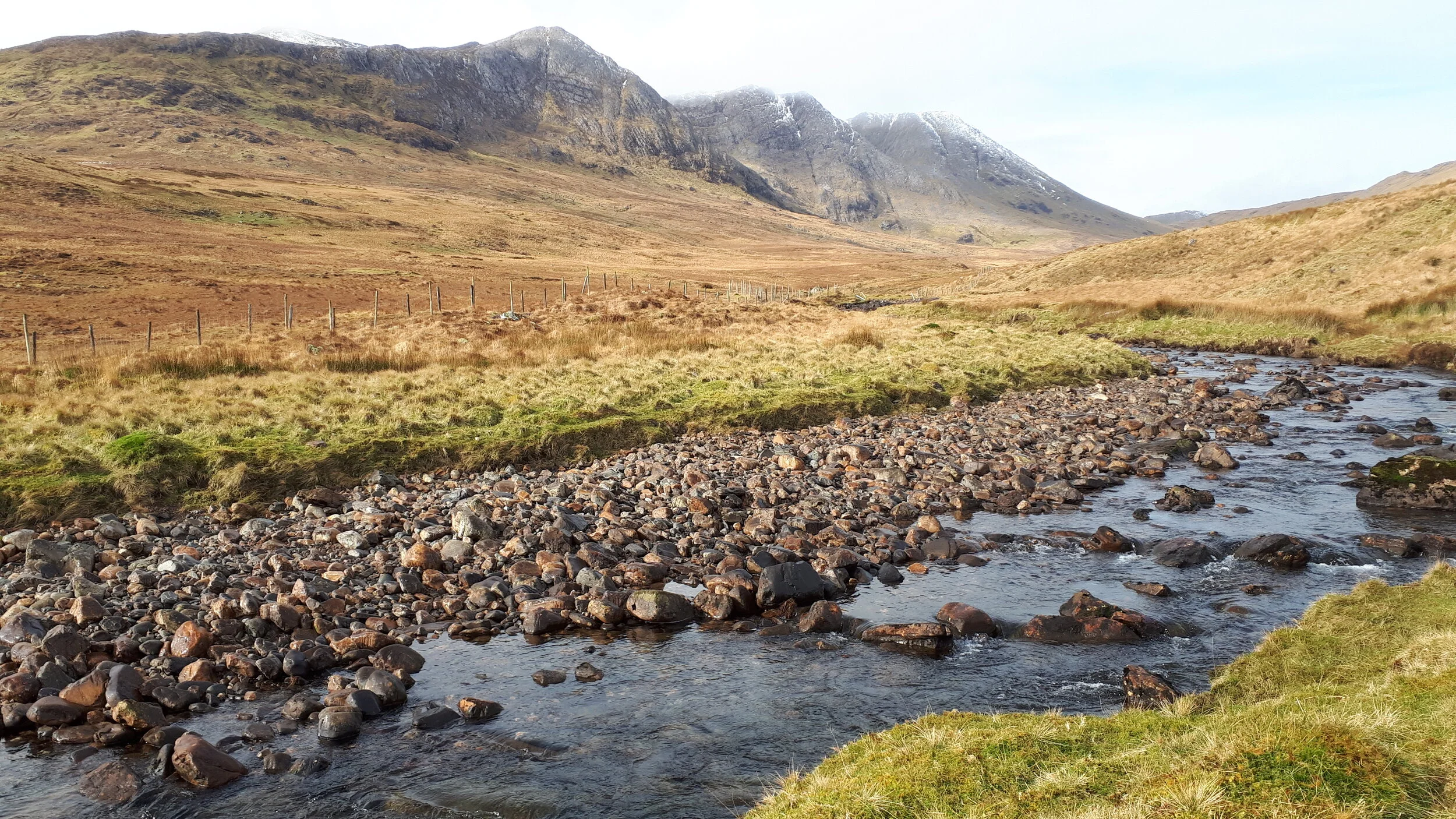 Experience the Wilderness - View from Base camp
