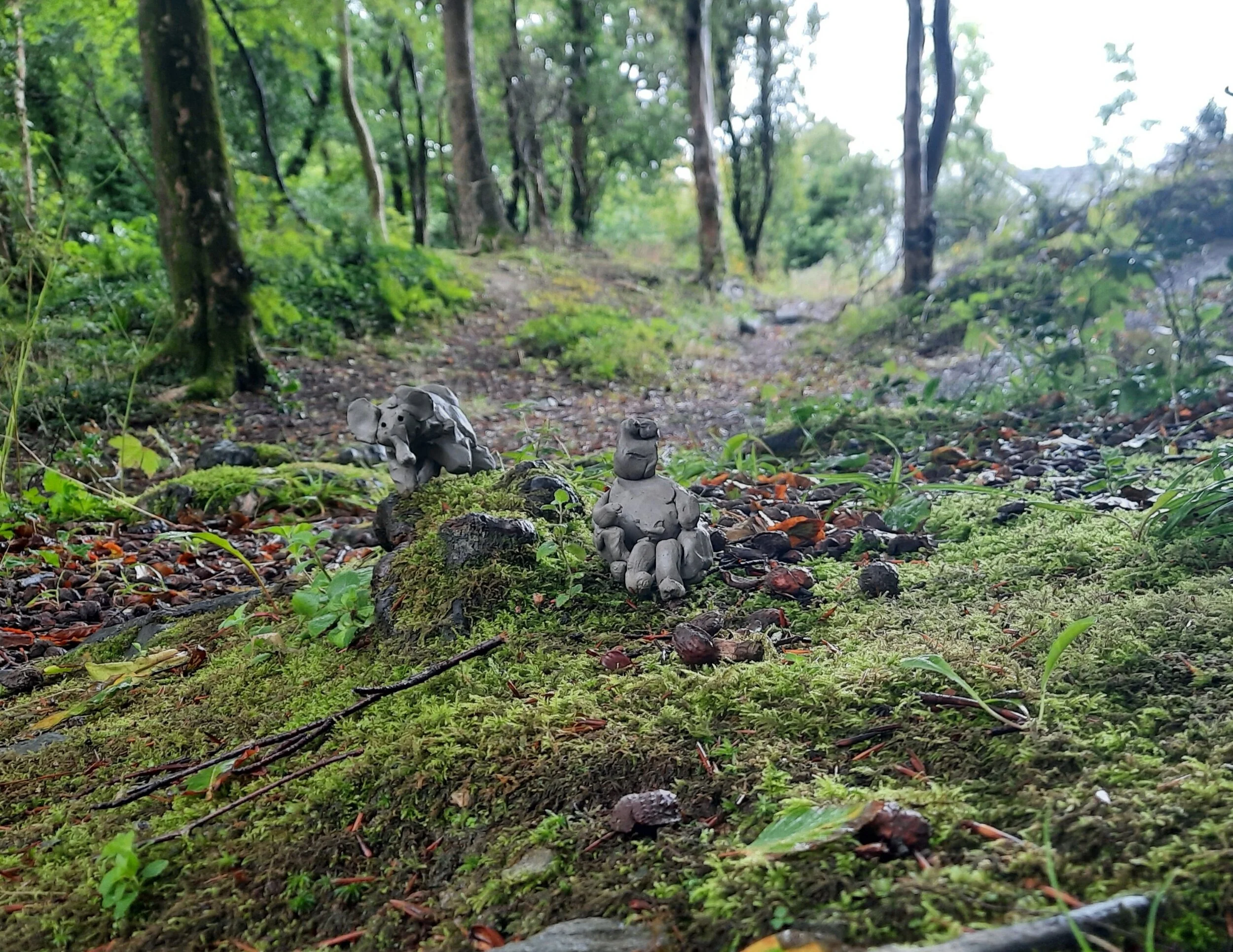 Venture Out Camps up and running