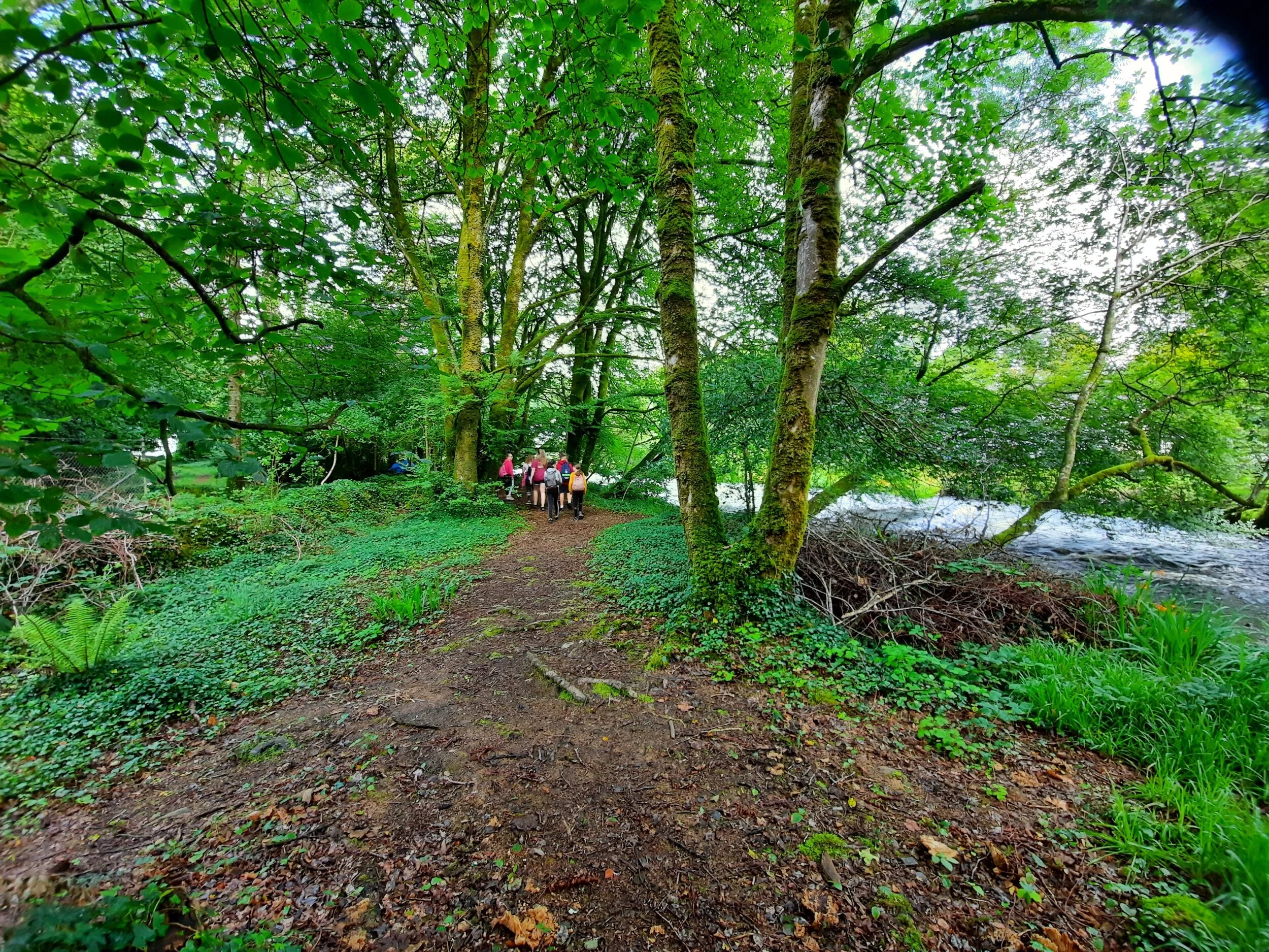 SSE funding secured to support youth programmes post covid