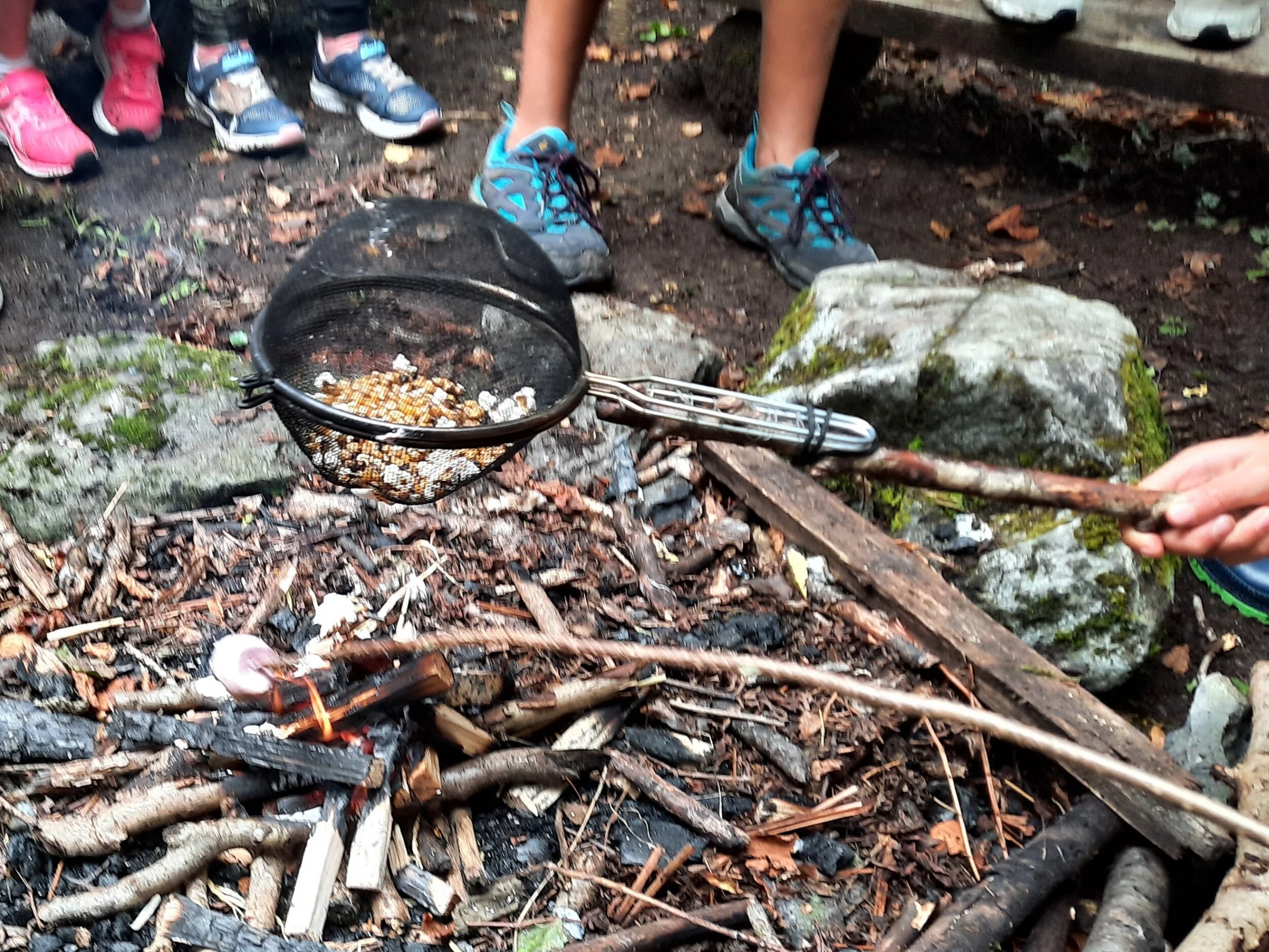 Nature arts with brigits garden