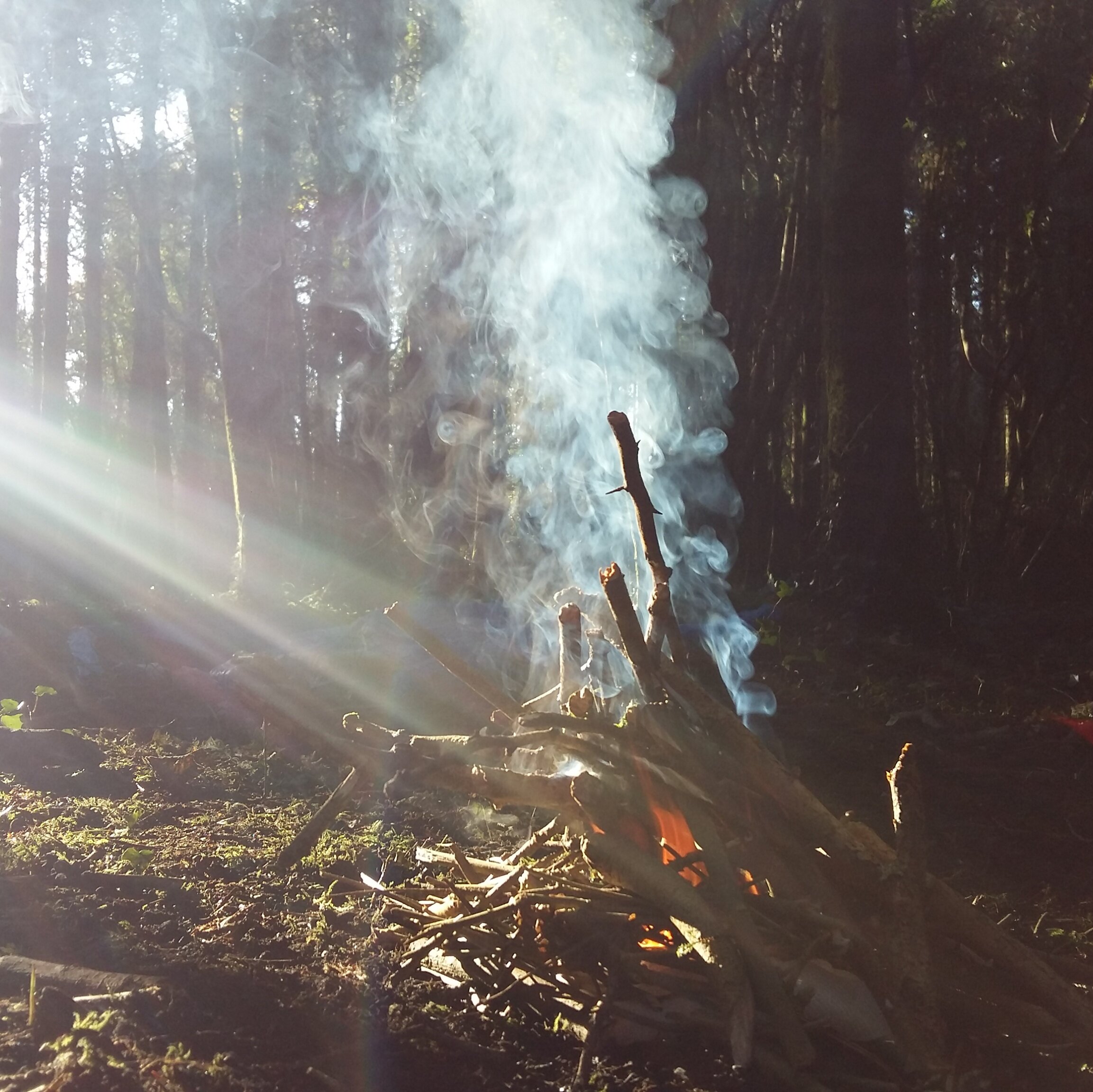 Unearth 1:1 Support sessions