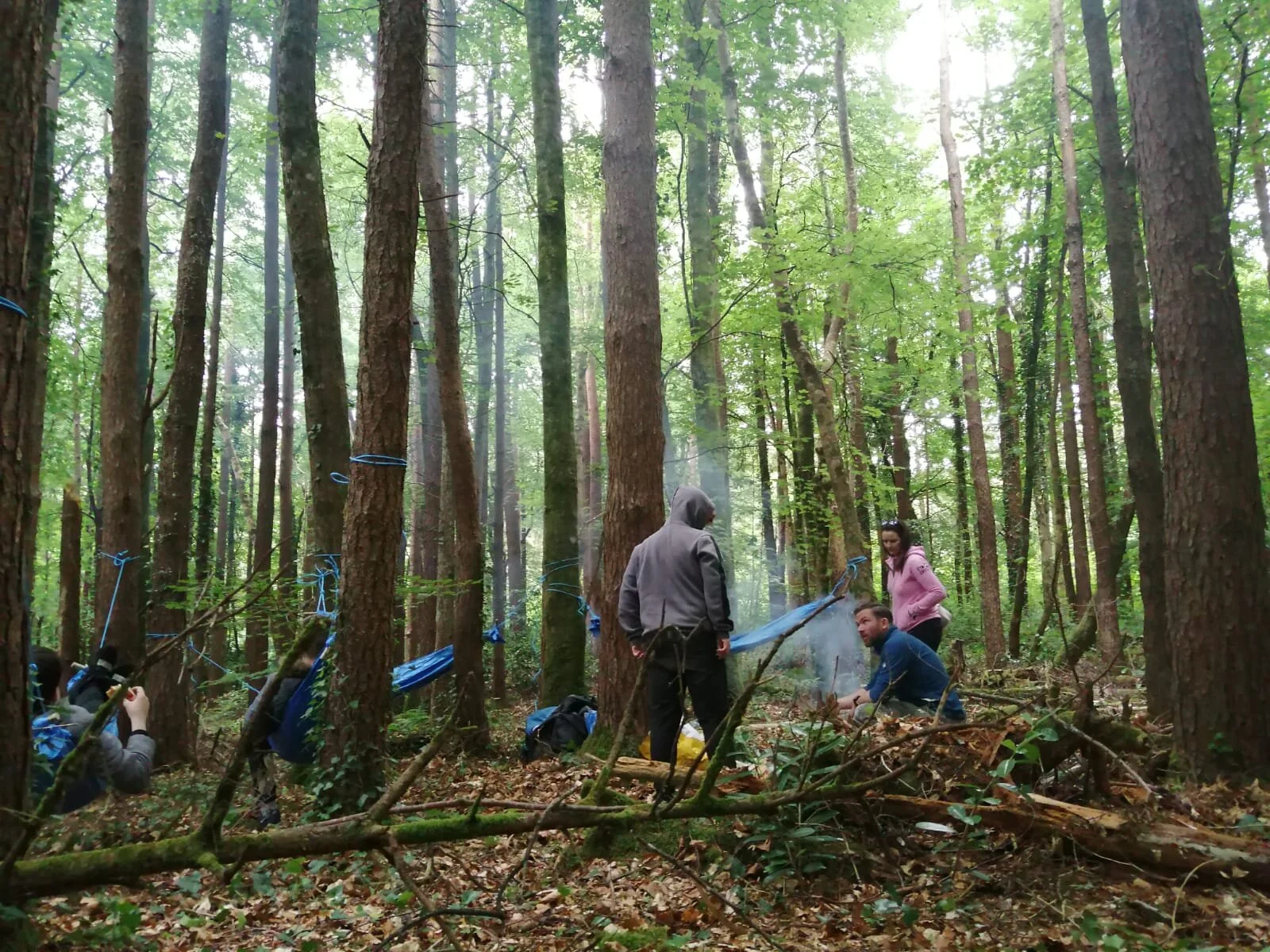 Venture Out partner with Cypsc Mayo to Deliver our Branching Out Programme across the region