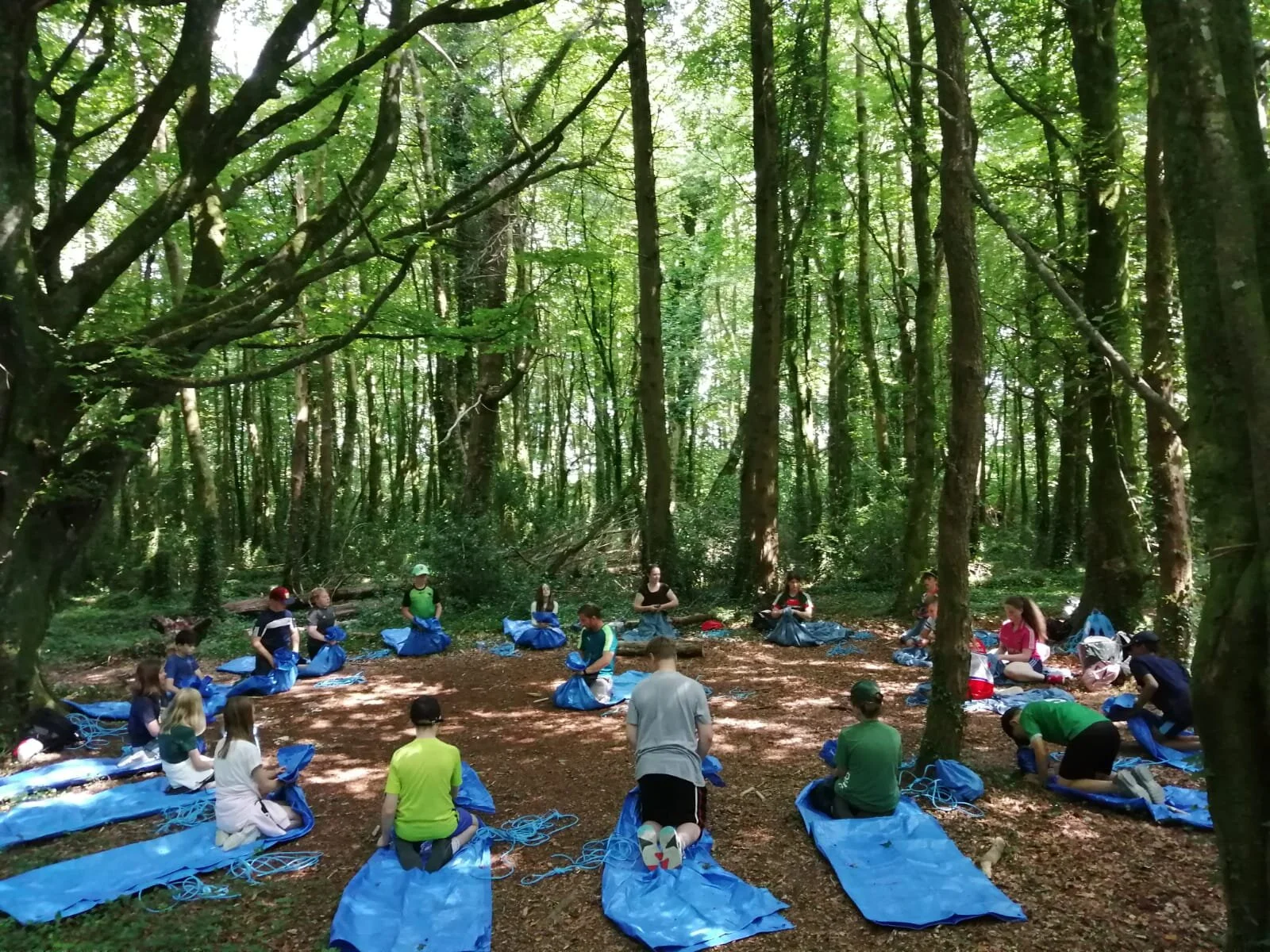 Summer Programmes Continue