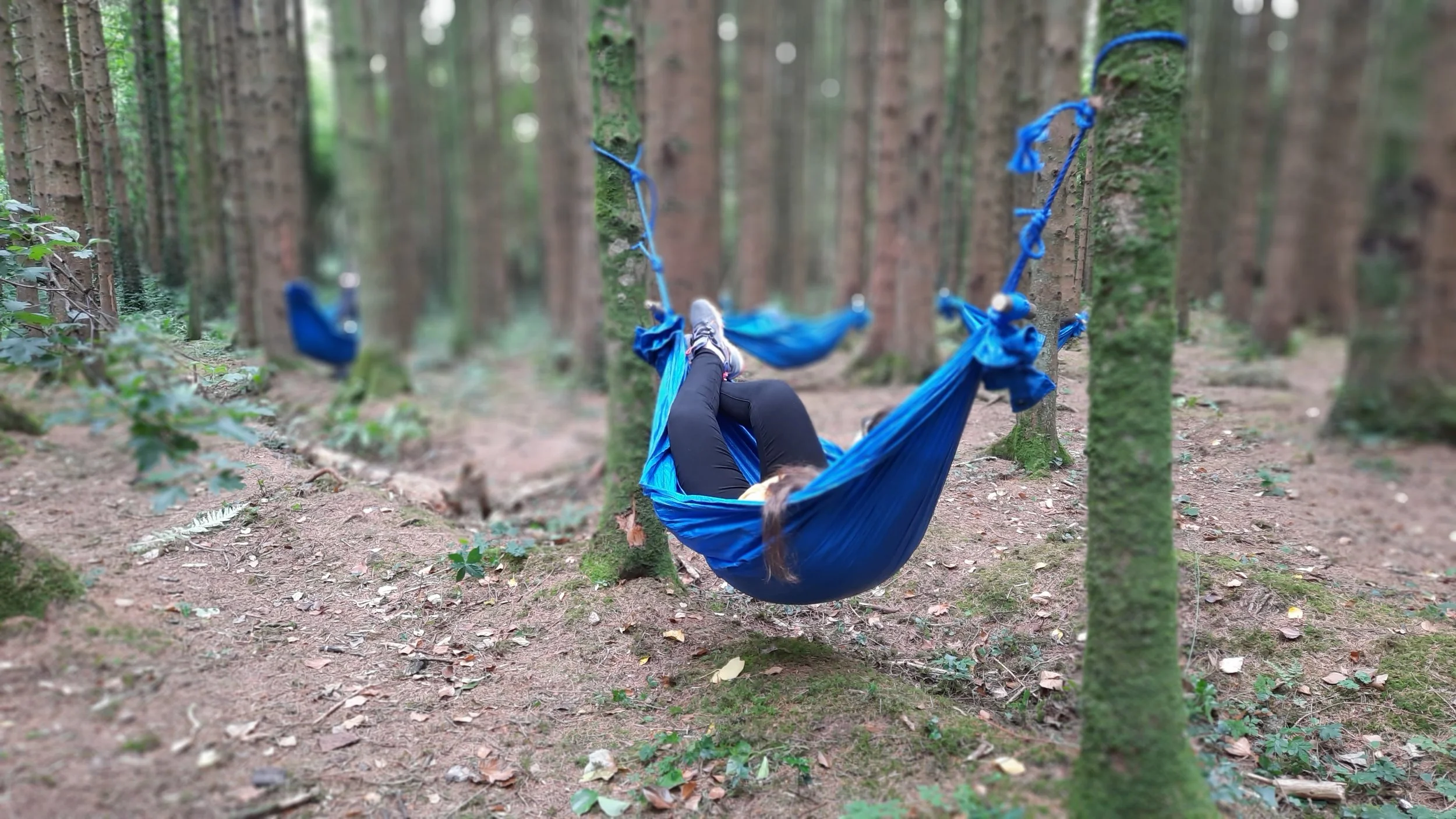 Throwback Thursday - Images of our Work from 2021