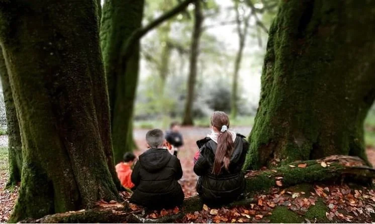 Research Highlight - 'Free range teenagers' and the role of wild adventure spaces