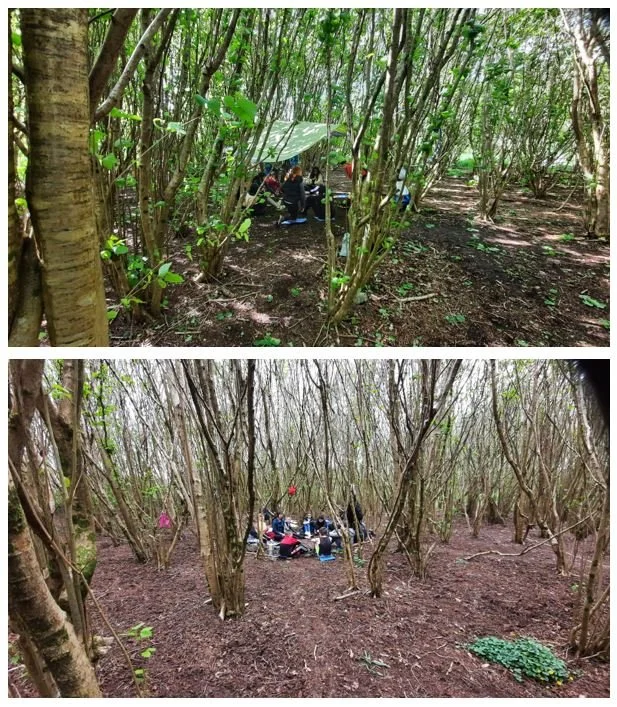 Teen Urban Adventure Programmes