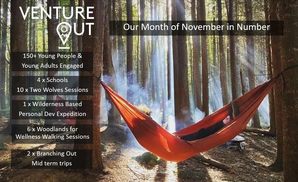 Our Month By Numbers - November 2022