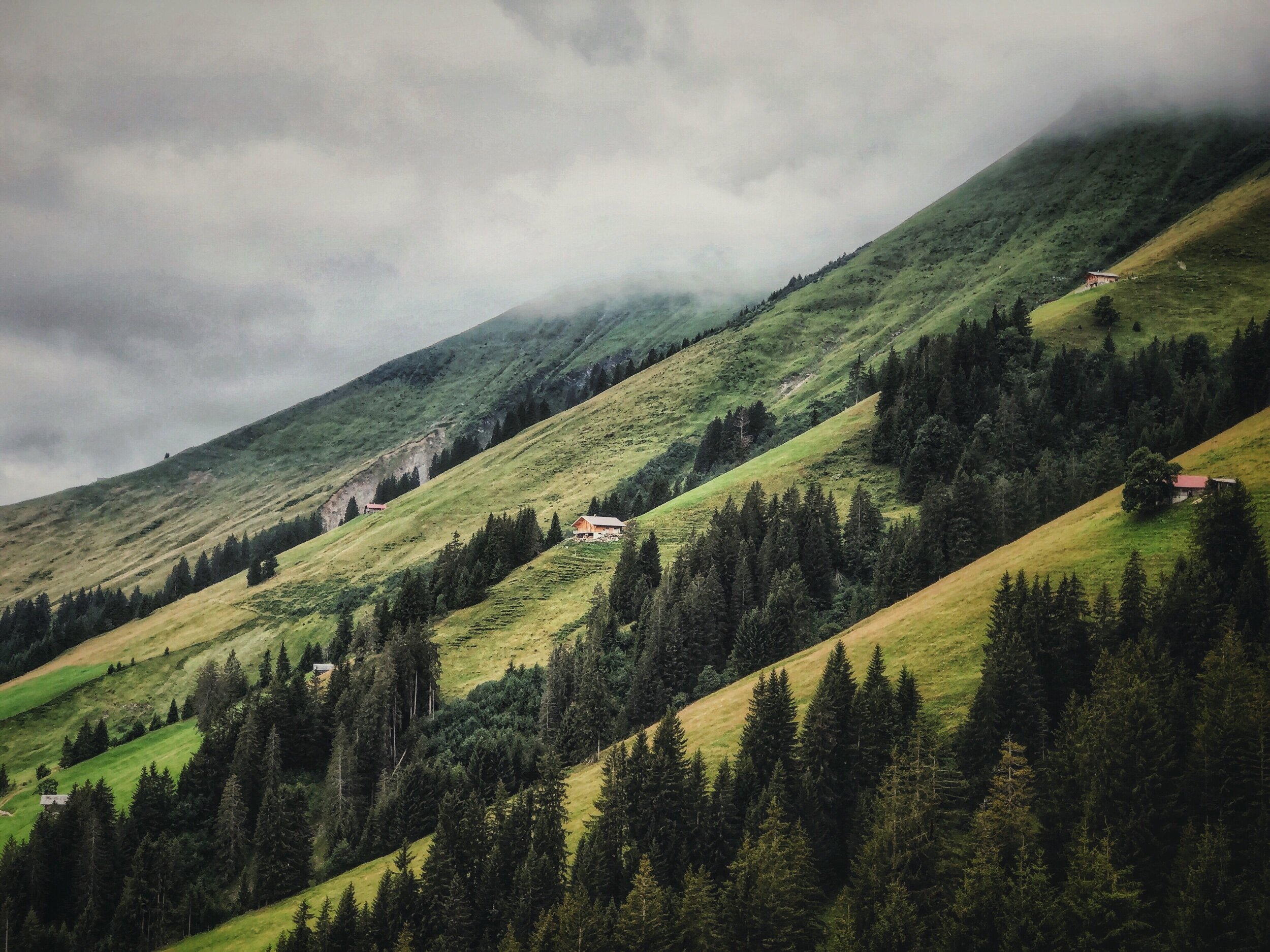 Frutigen. 2019