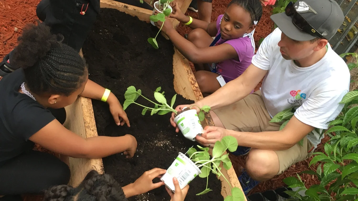 Education-Hands-in-Flowers-Avolon-BGC-18.jpg