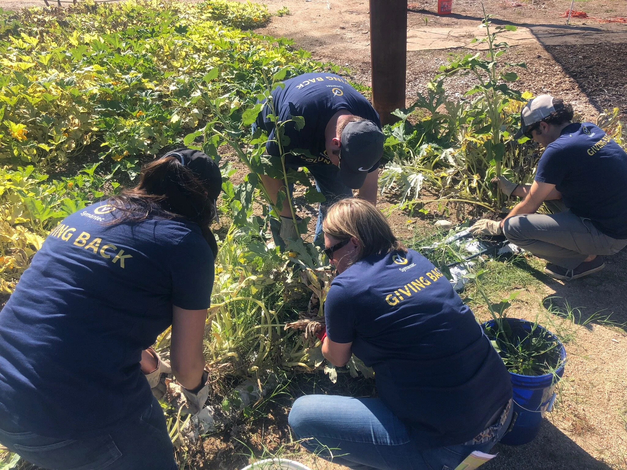 How to Design An Inclusive Volunteer Program — Give To Get A Social