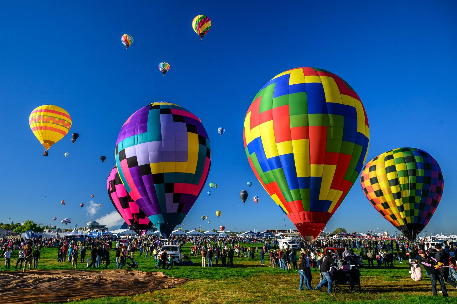 20261003_0808_7599_BalloonFiesta.jpg
