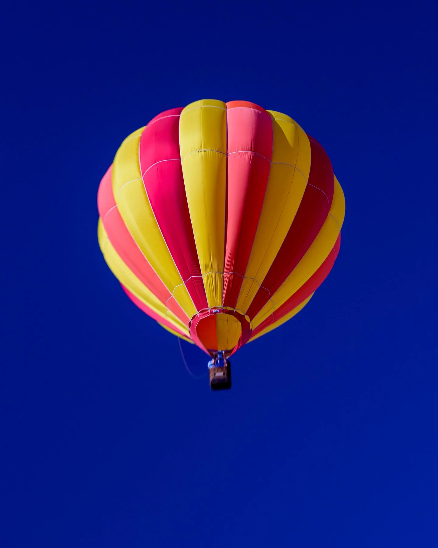 20251005_0831_5038_BalloonFiesta.jpg