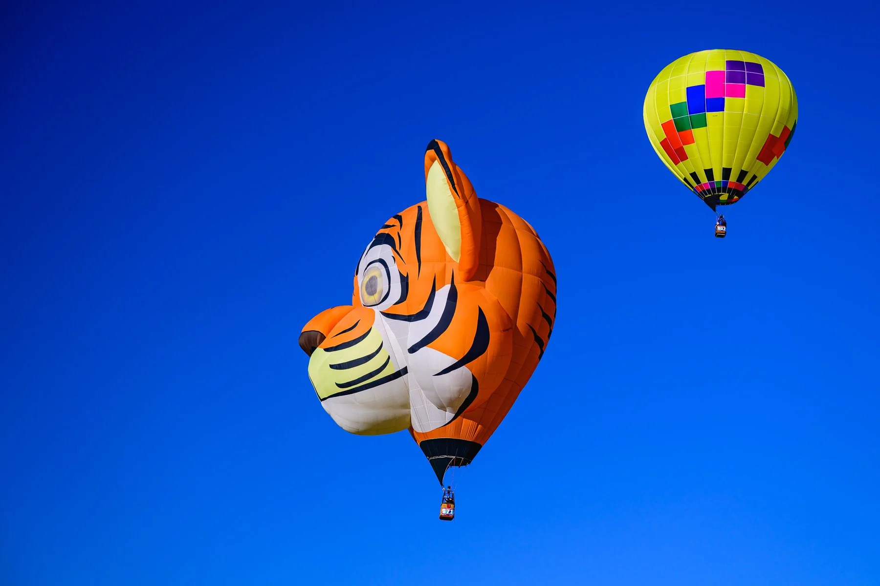 20261003_0835_7674_BalloonFiesta.jpg