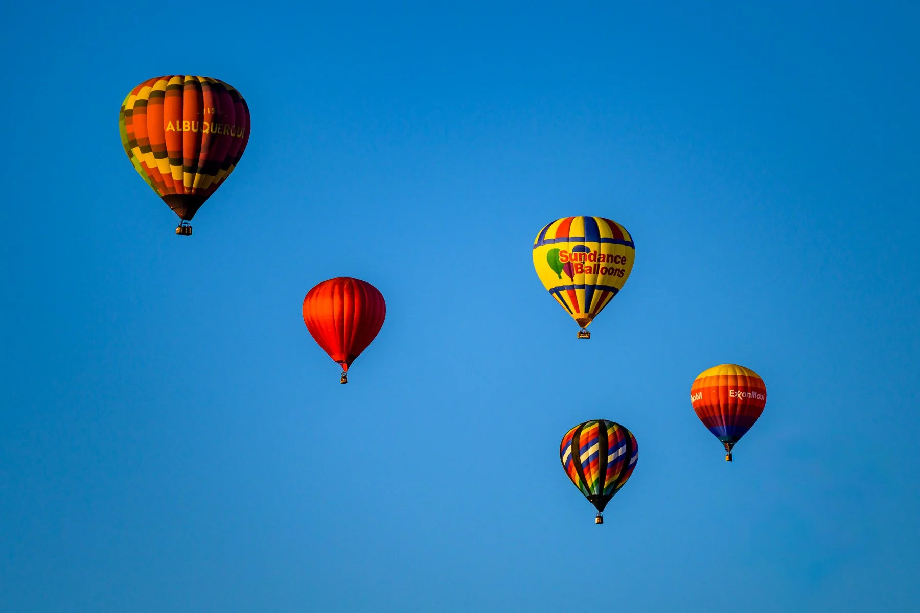 20251006_0726_5096_BalloonFiesta.jpg