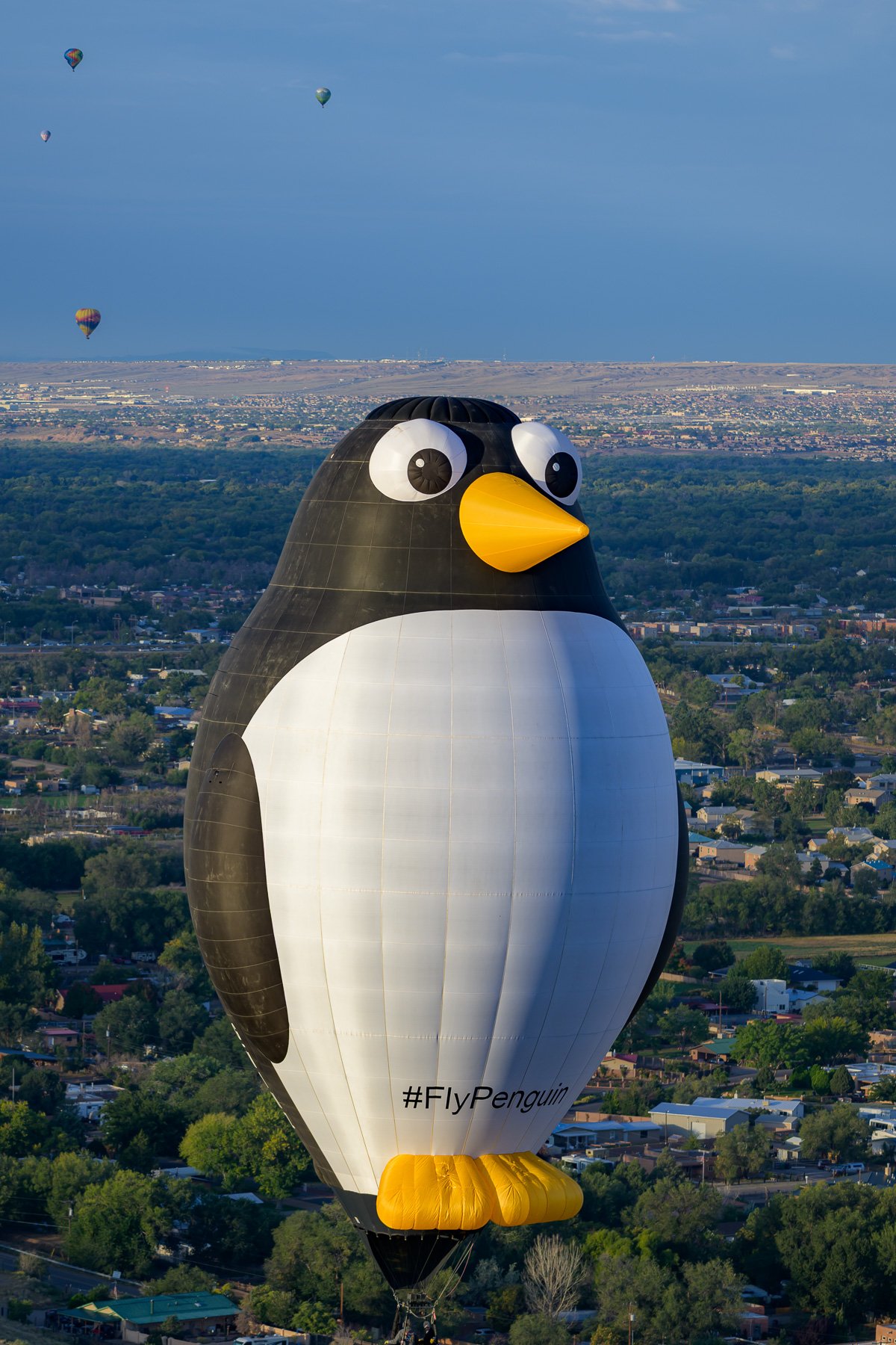 20251009_0757_5286_BalloonFiesta.jpg