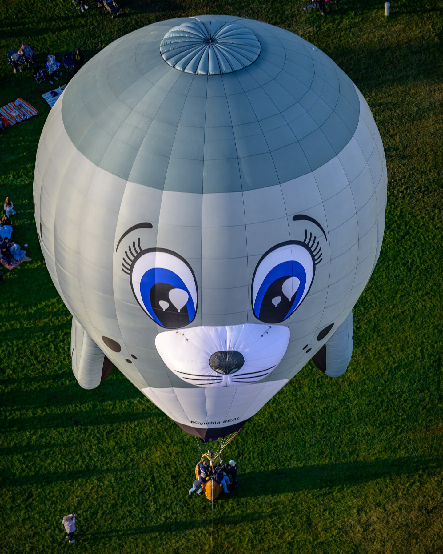 20251009_0757_5288_BalloonFiesta.jpg