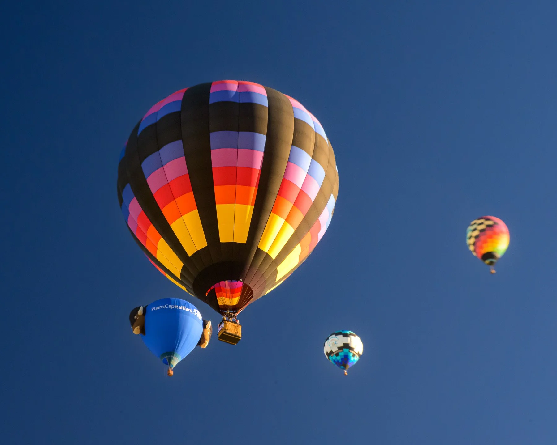 20251005_0829_5027_BalloonFiesta.jpg