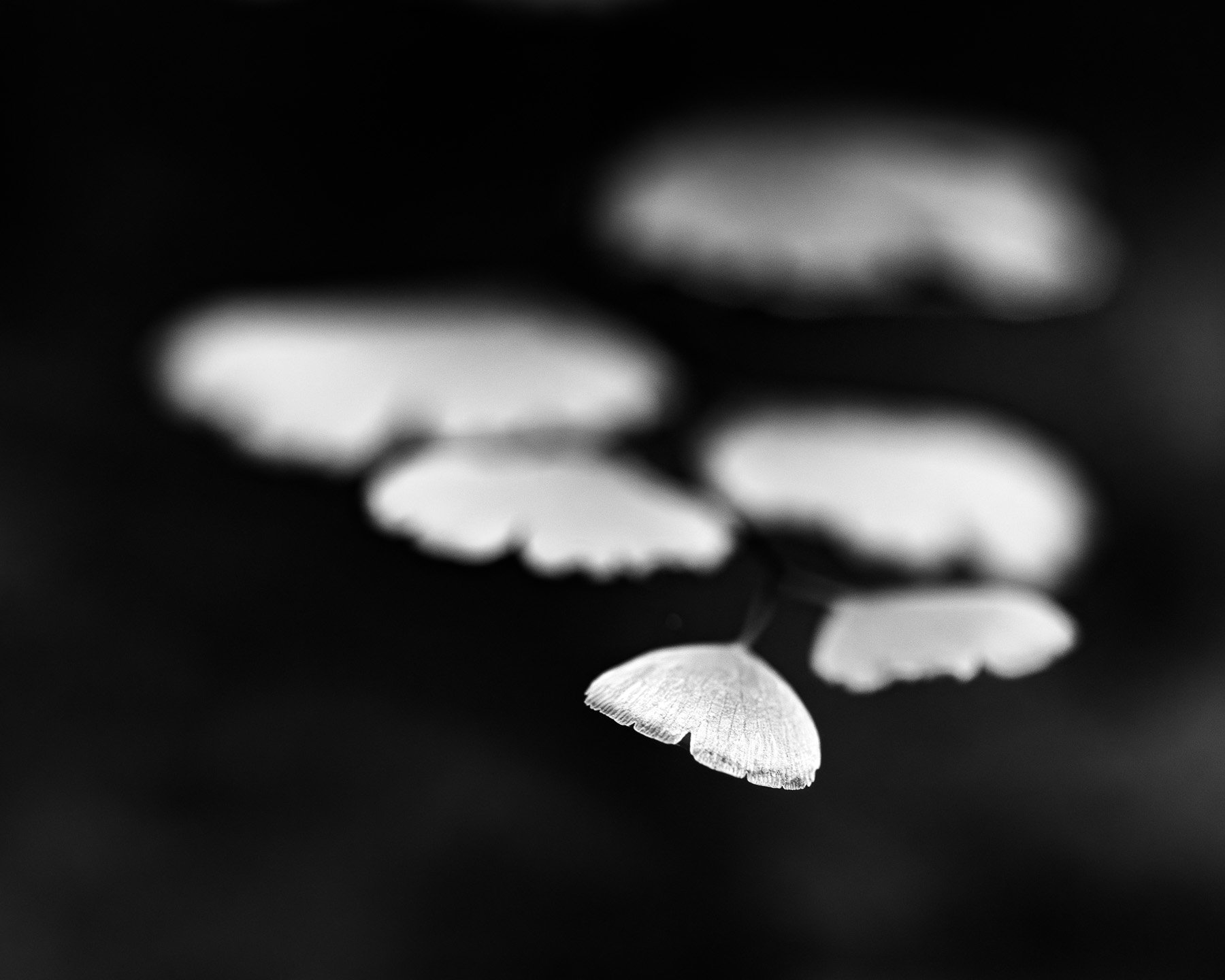 04-20260516-0802-4842.jpg