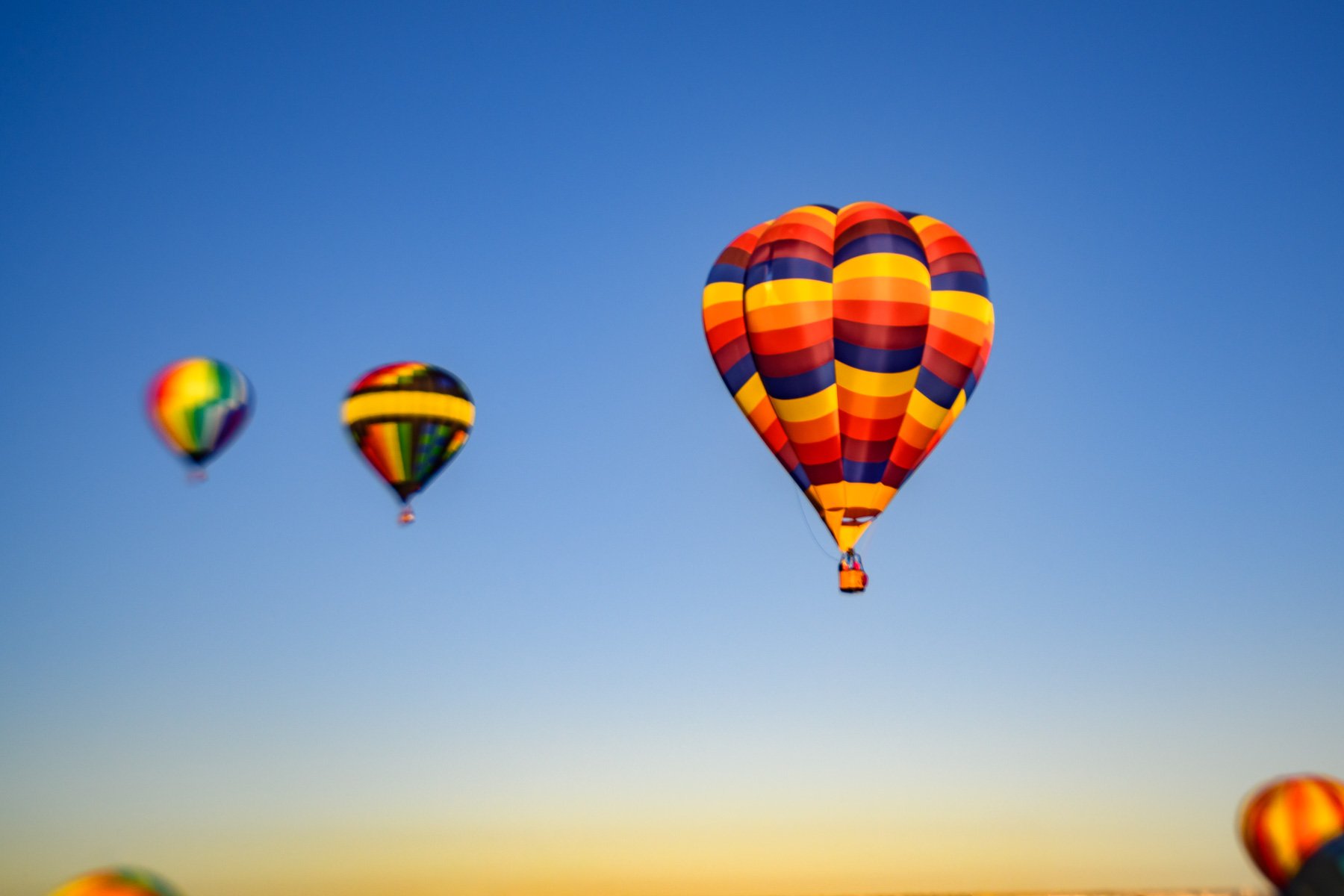 20261003_0749_87986_BalloonFiesta.jpg