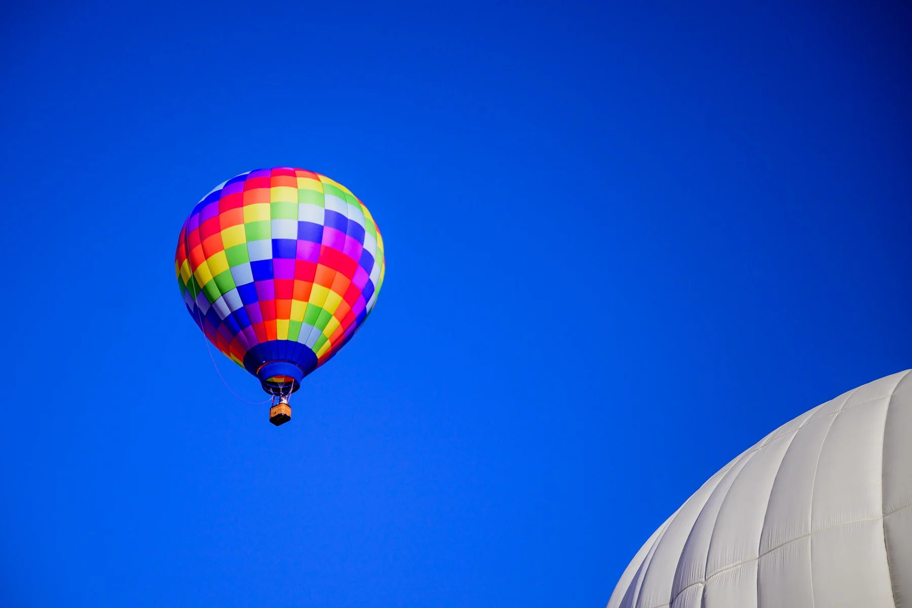 20261003_0817_7619_BalloonFiesta.jpg