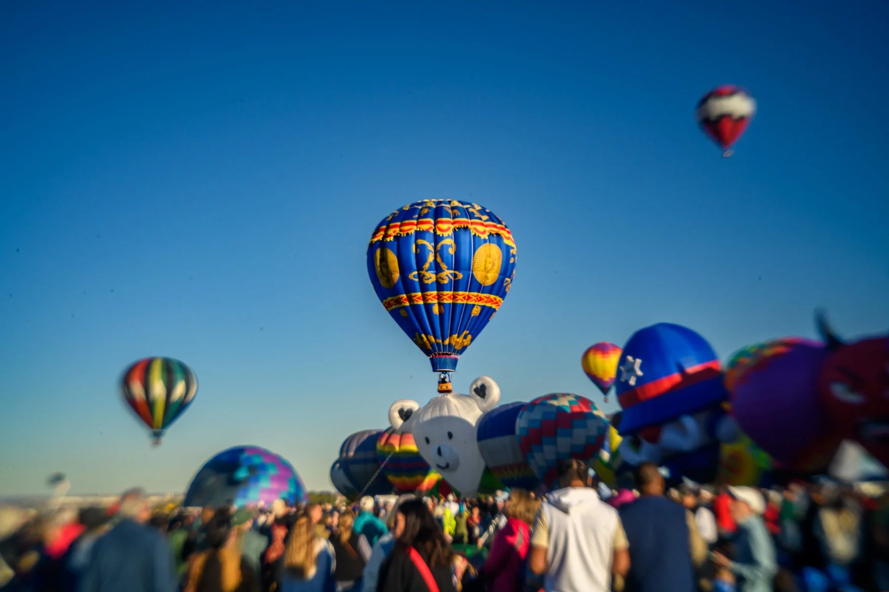 20261003_0752_87989_BalloonFiesta.jpg