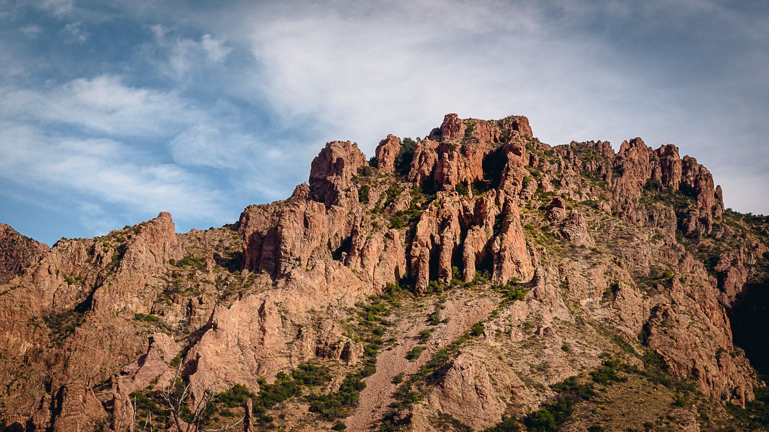 20181115_092122_5502_BigBend.jpg