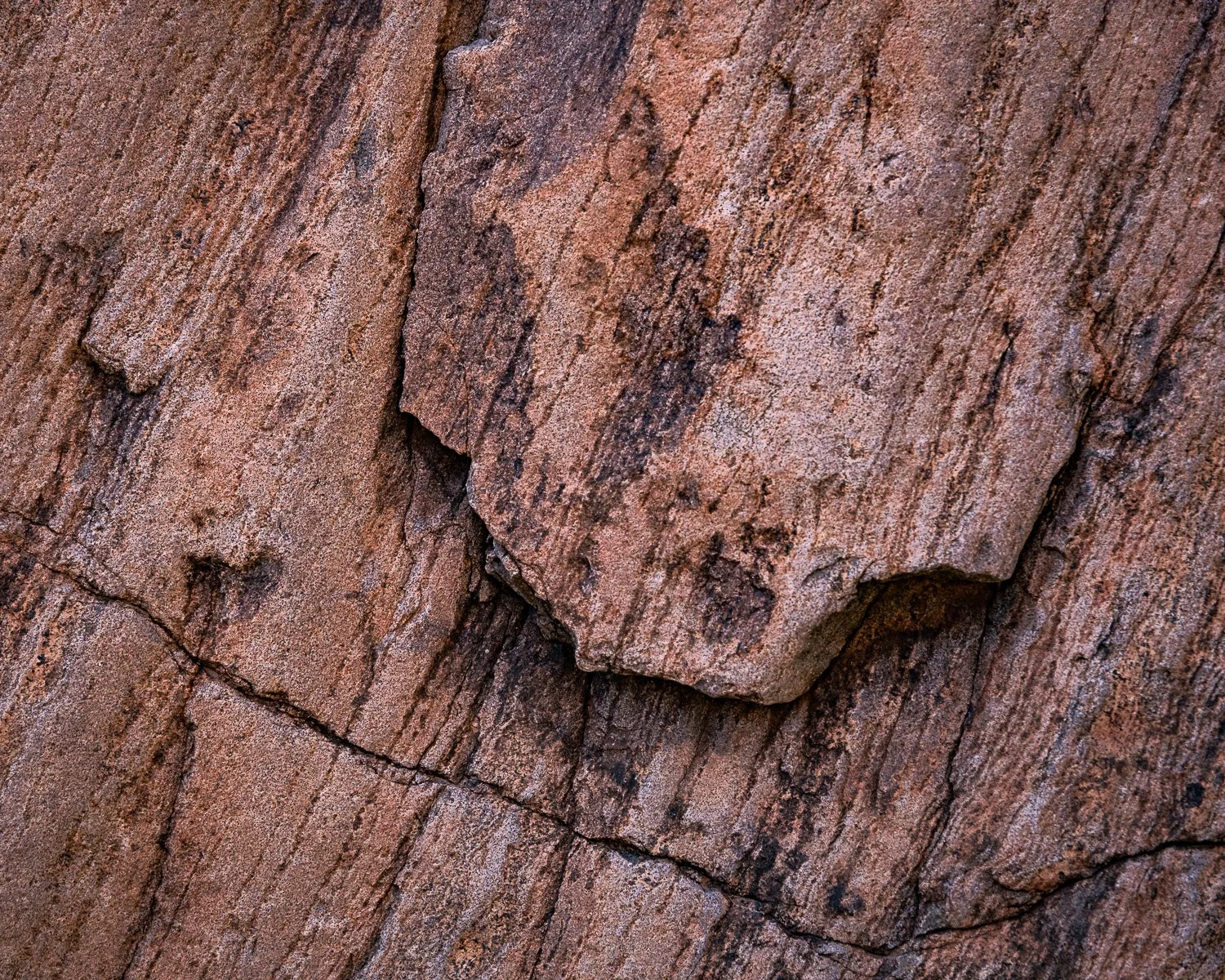 BigBend_20210414_2187.jpg