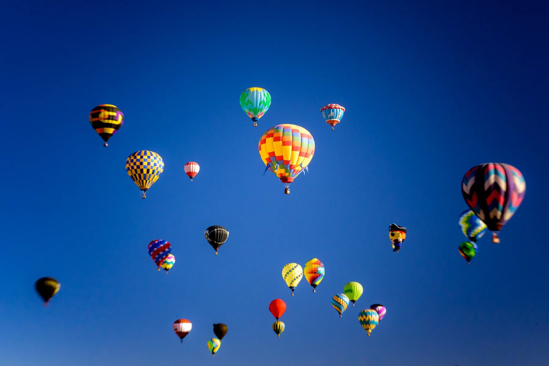 20251005_0829_5026_BalloonFiesta.jpg