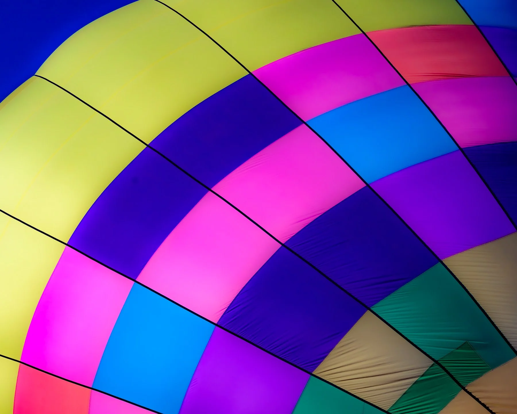 20261003_0805_7587_BalloonFiesta.jpg