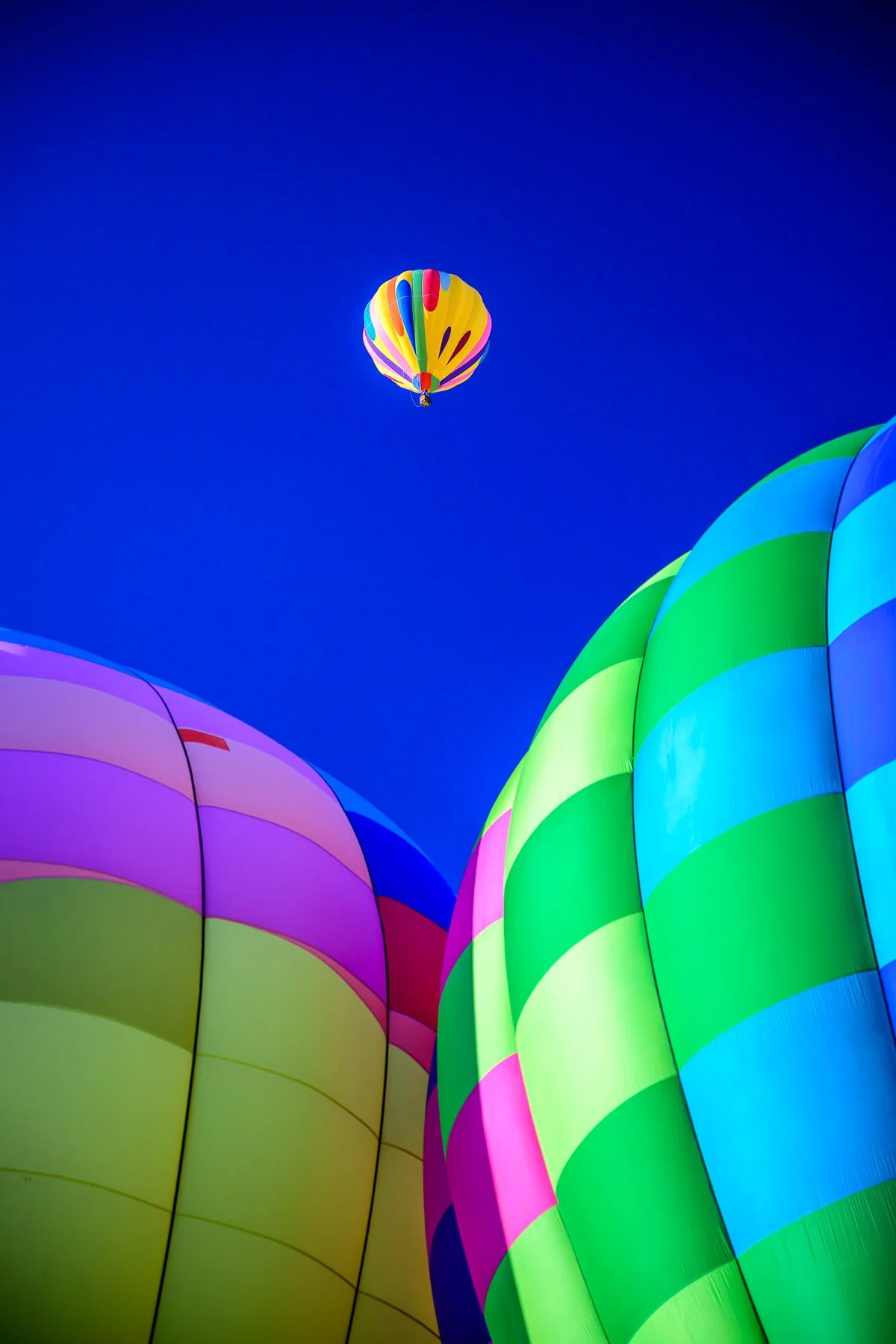 20261003_0813_7608_BalloonFiesta.jpg