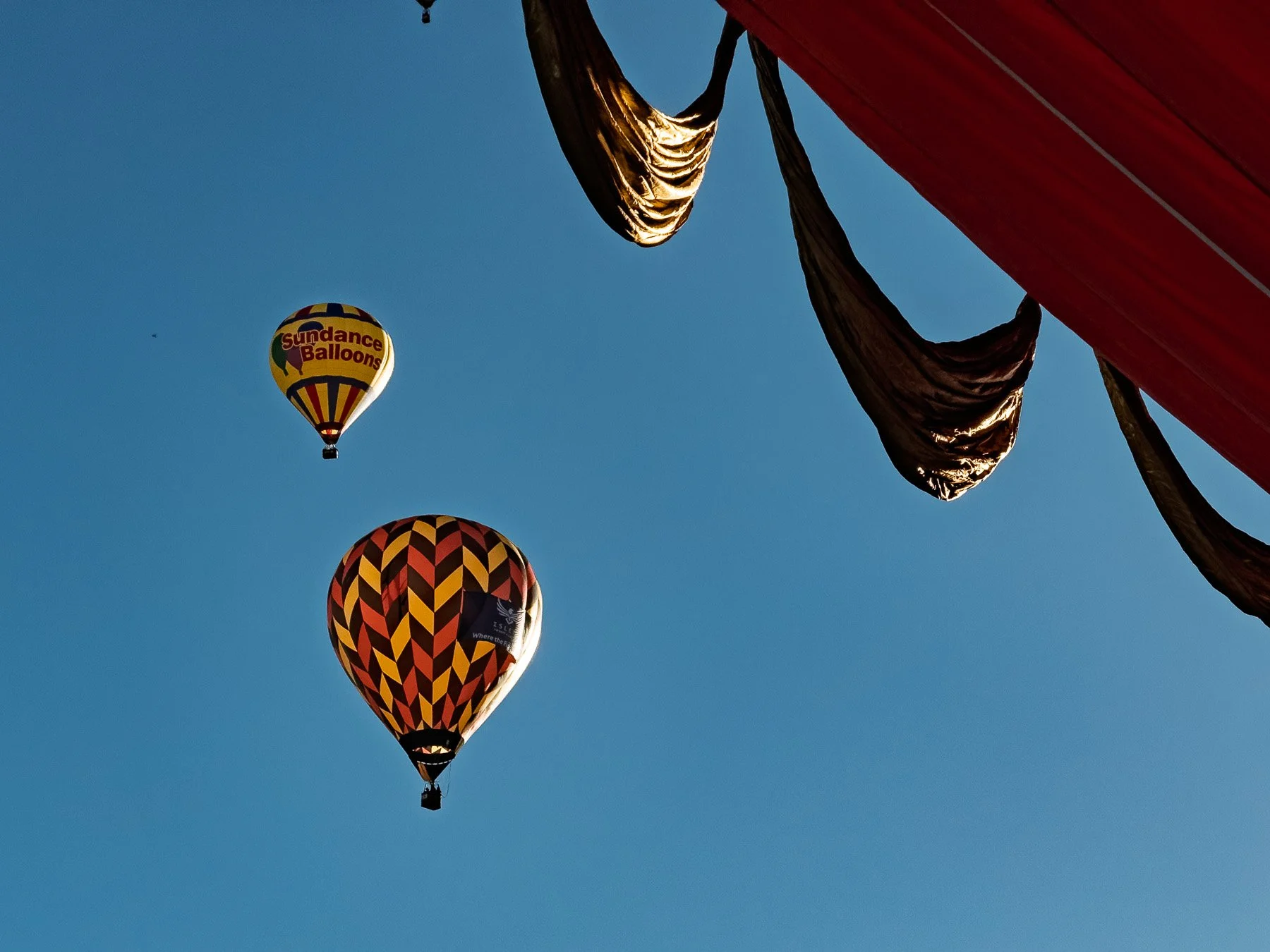 20251005_0744_7659_BalloonFiesta.jpg