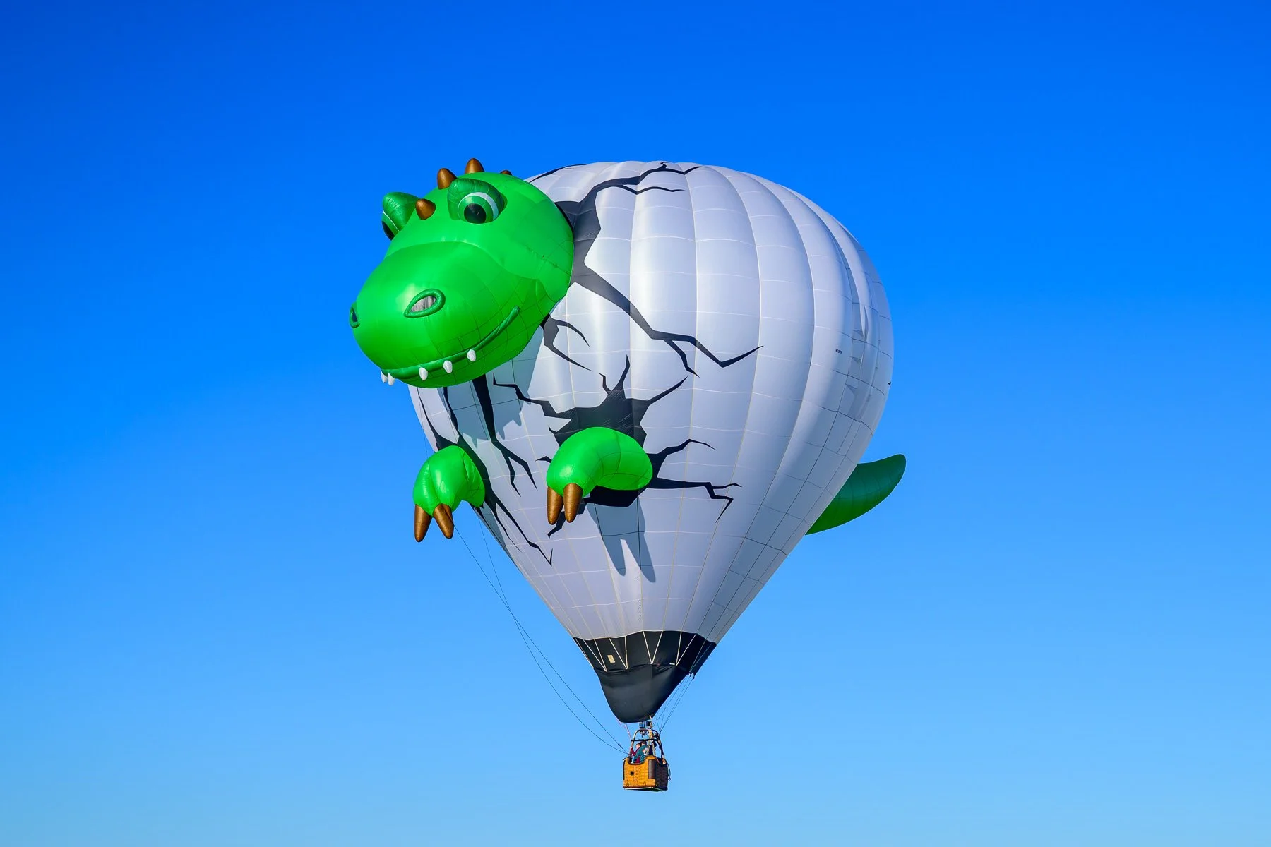 20261003_0827_7657_BalloonFiesta.jpg
