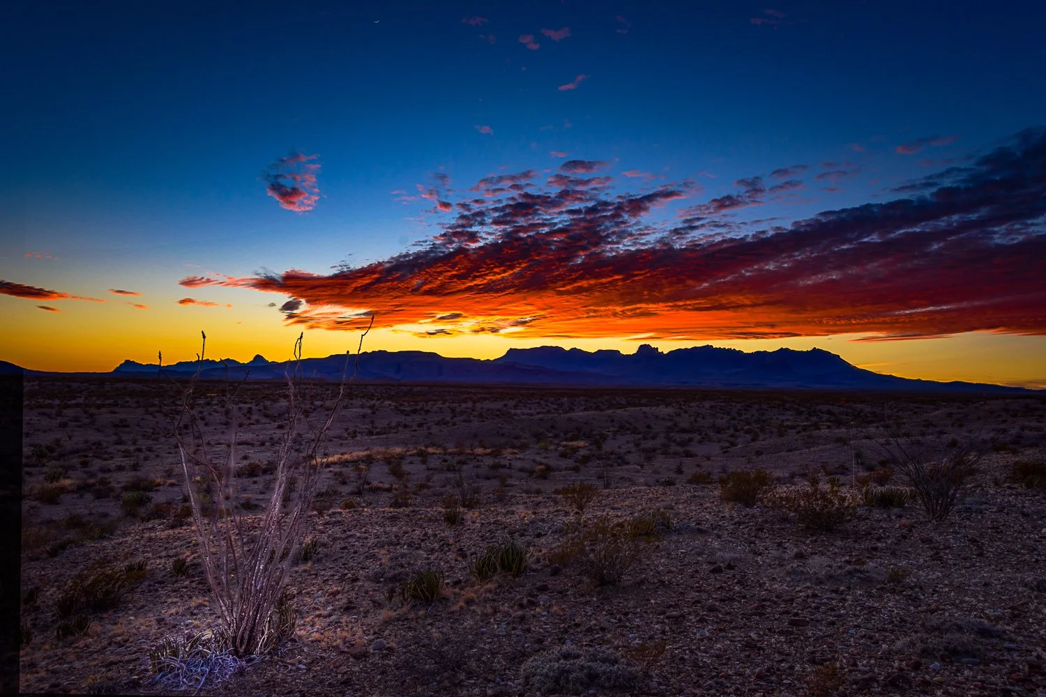 Big Bend