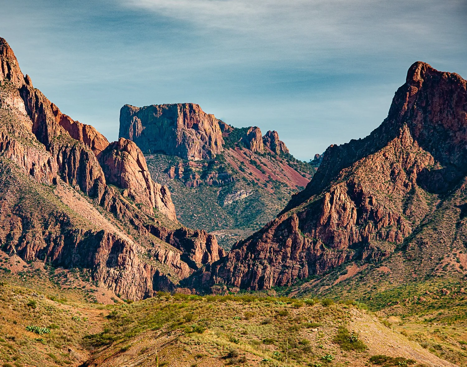 20181116_145333_5858_BigBend.jpg