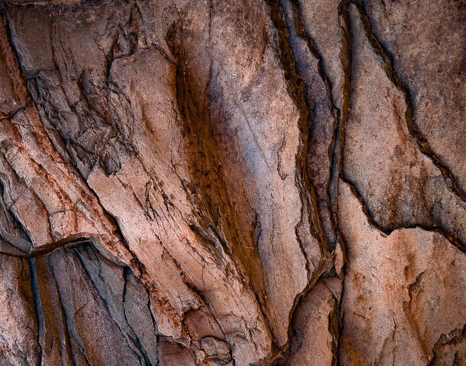 BigBend_20210414_2186.jpg