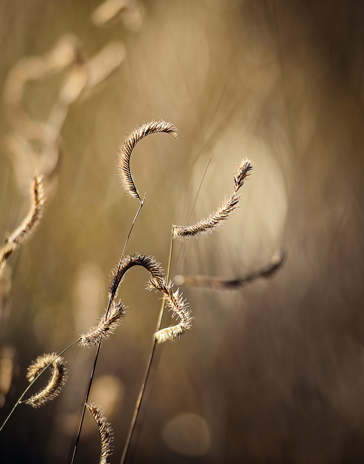 20181115_165324_5715_BigBend-Edit.jpg