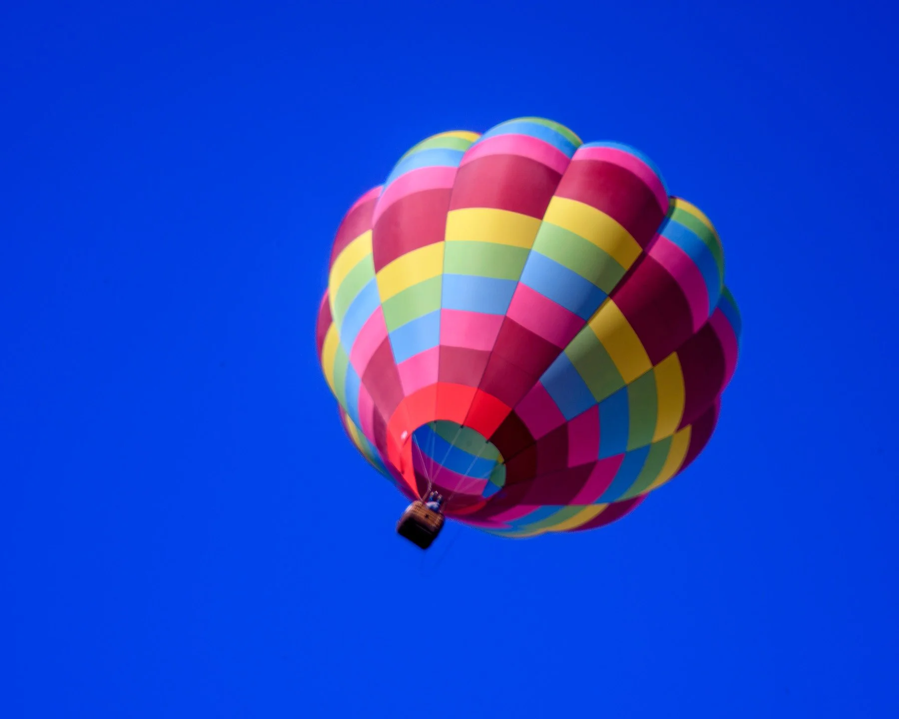 20261003_0749_87987_BalloonFiesta.jpg