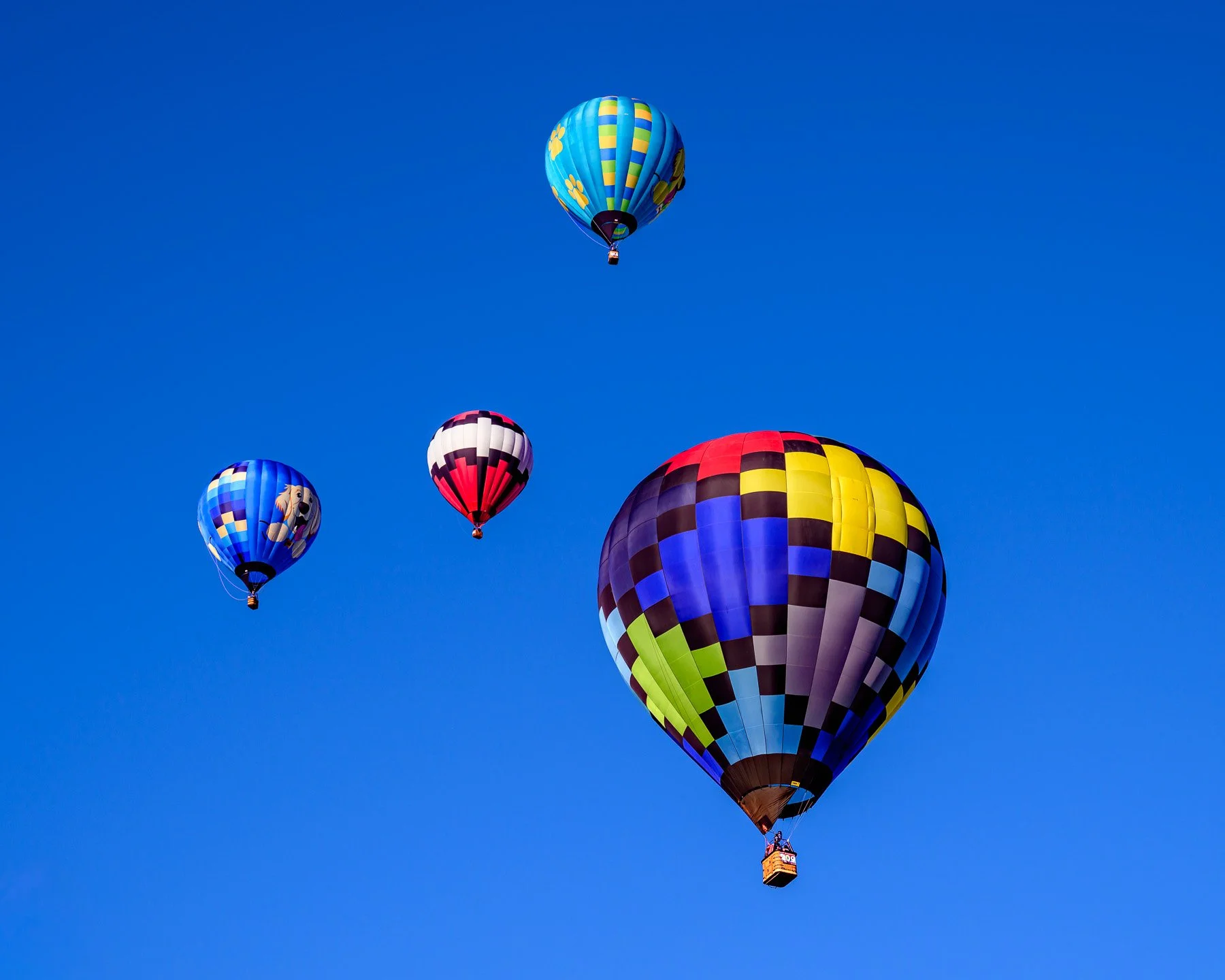 20261003_0755_7558_BalloonFiesta.jpg