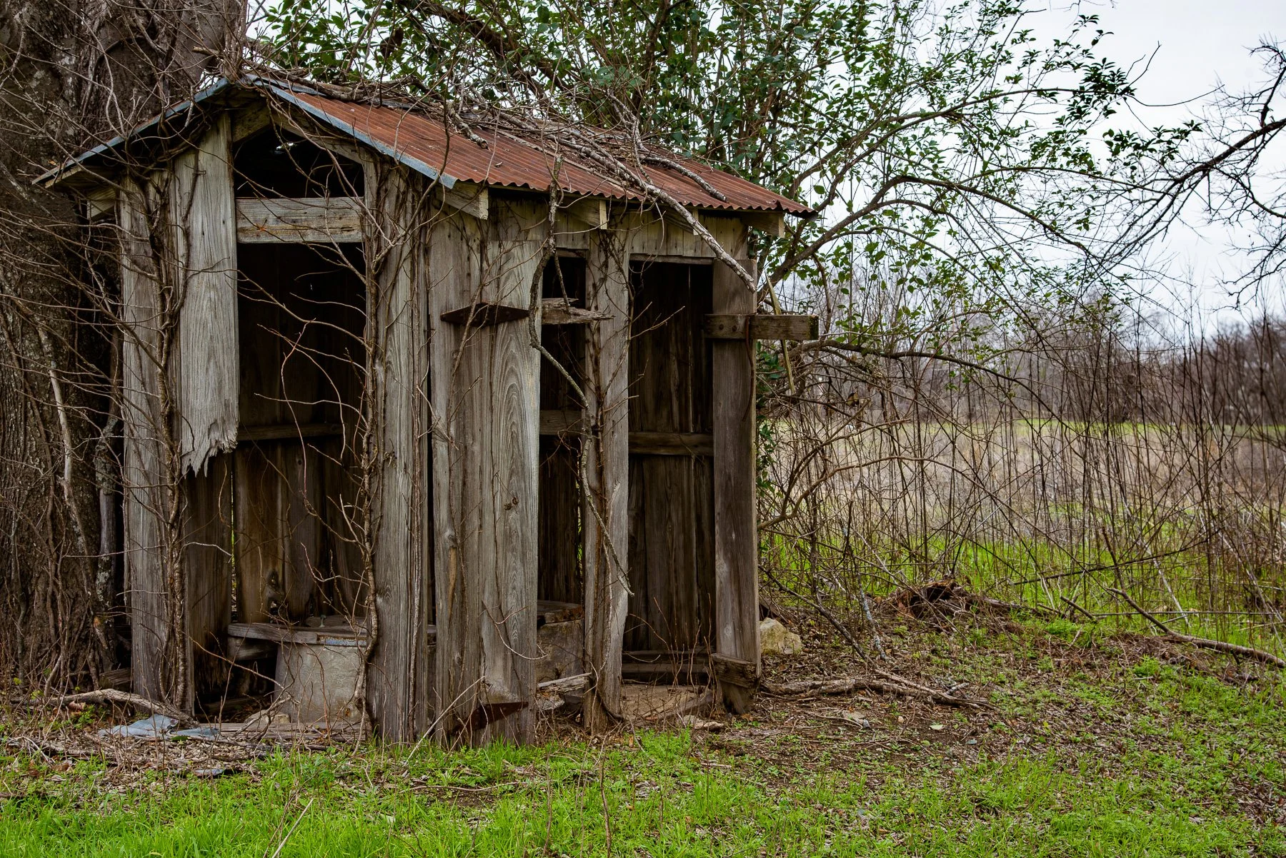 Loss of Shelter